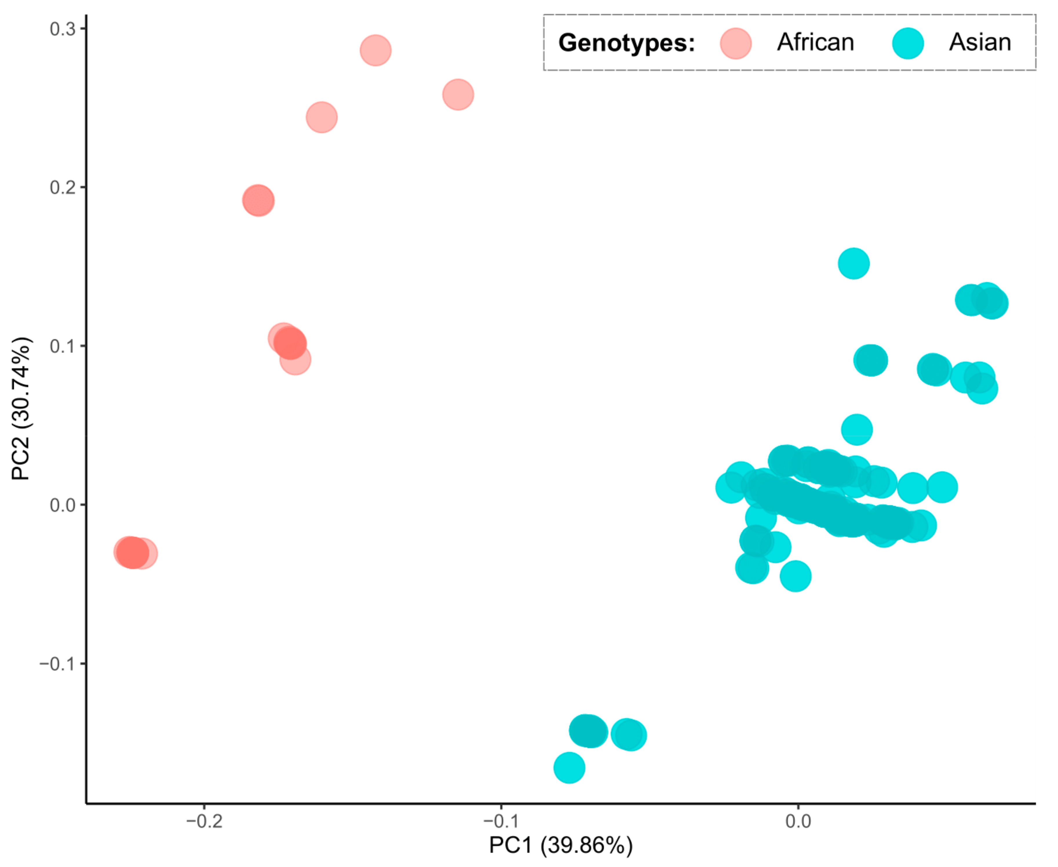 Viruses 12 01306 g003 Viruses 12 01306 g003