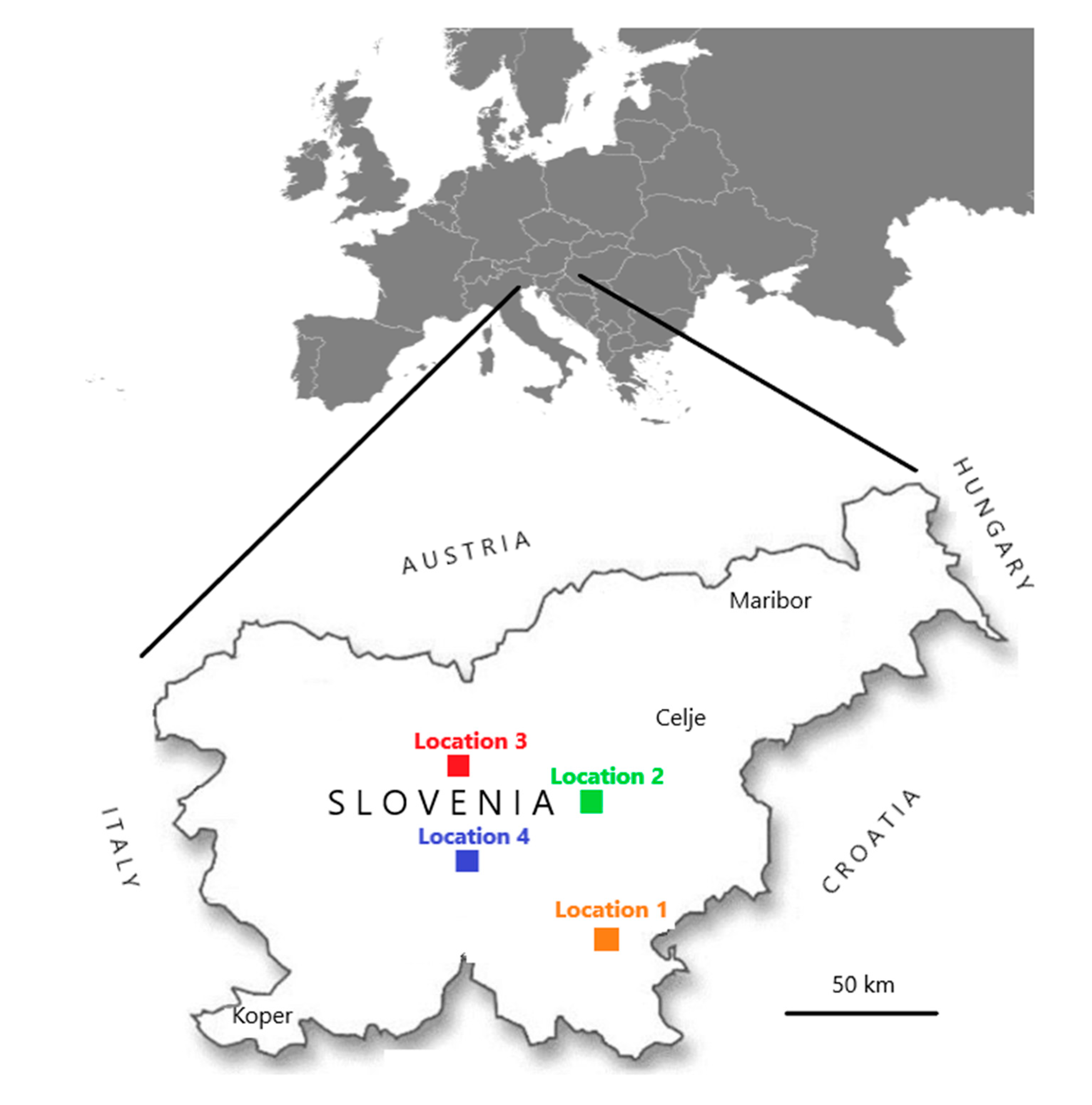 Viruses 12 01310 g001 Viruses 12 01310 g001