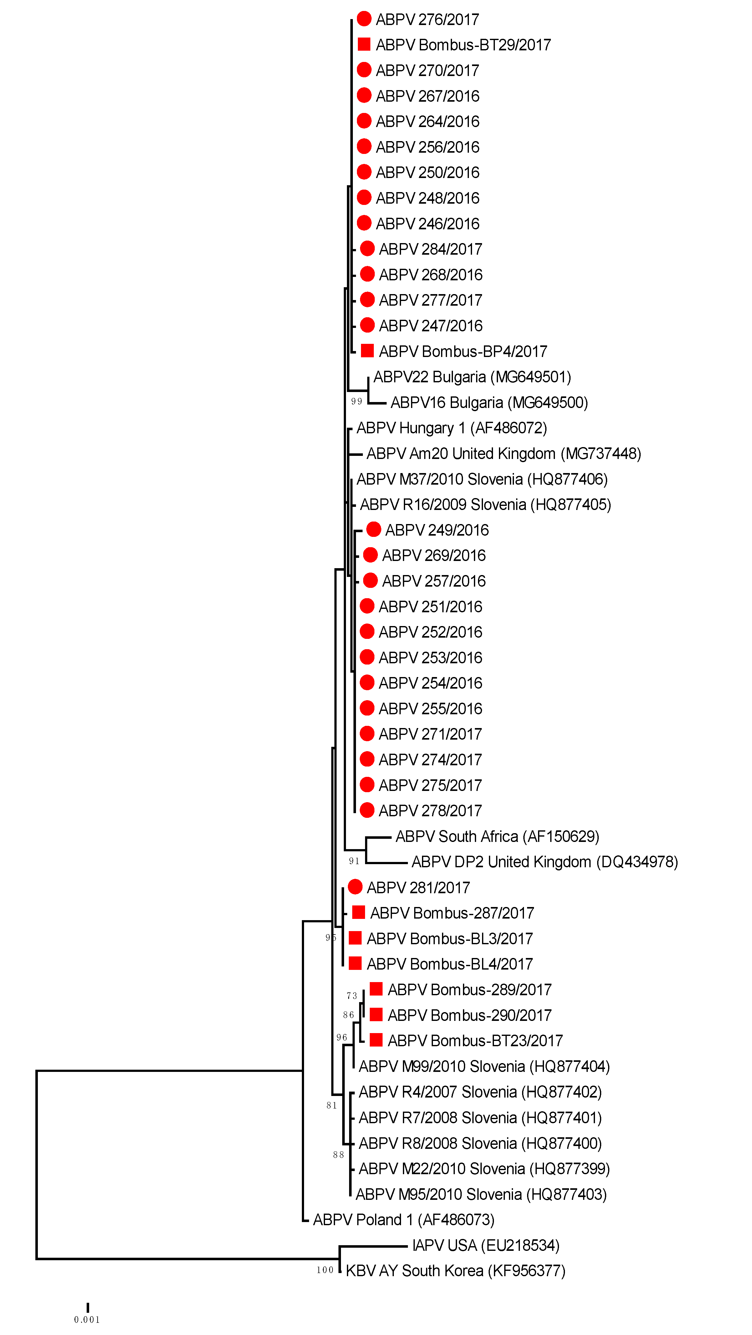 Viruses 12 01310 g002 Viruses 12 01310 g002