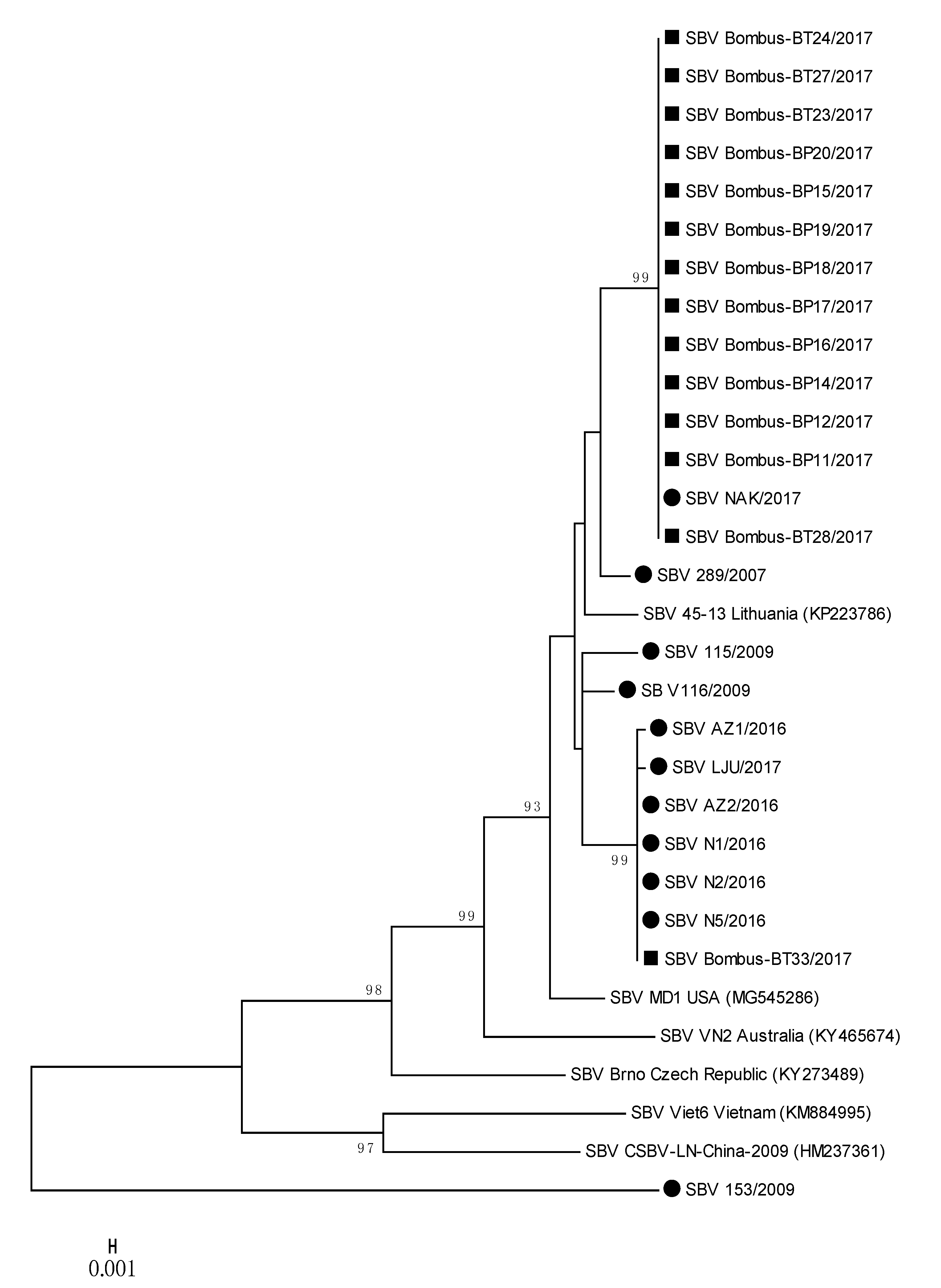 Viruses 12 01310 g004 Viruses 12 01310 g004