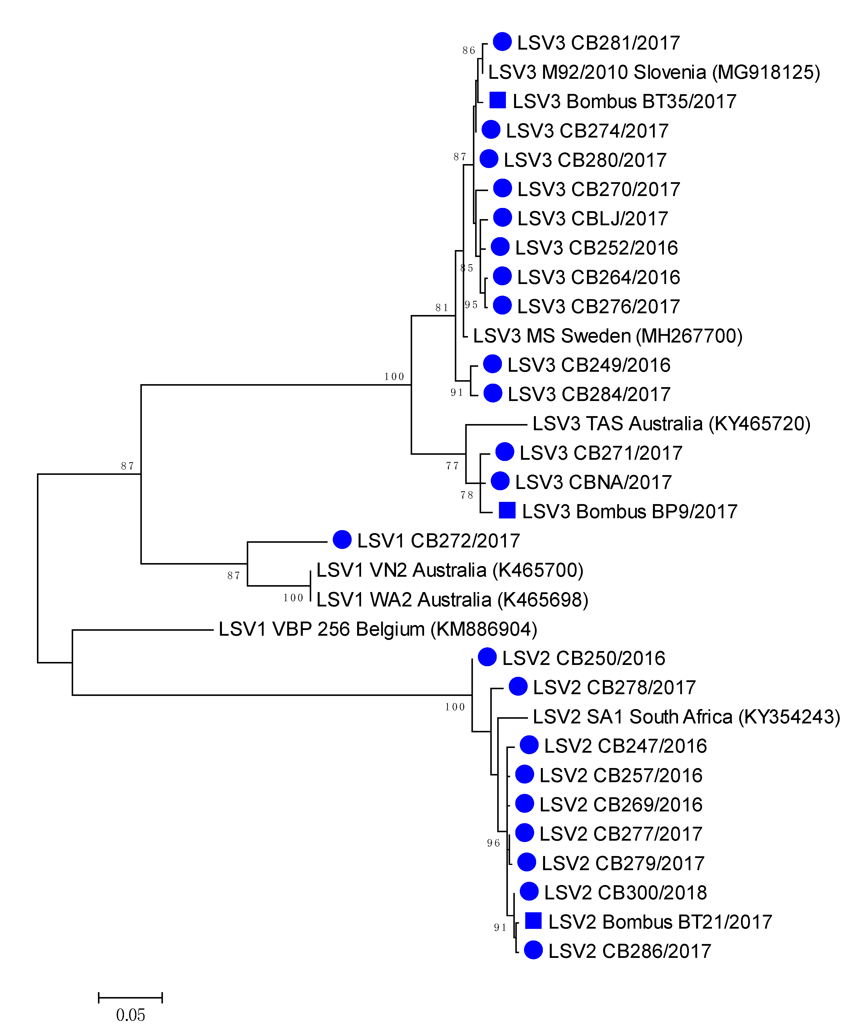 Viruses 12 01310 g005 Viruses 12 01310 g005
