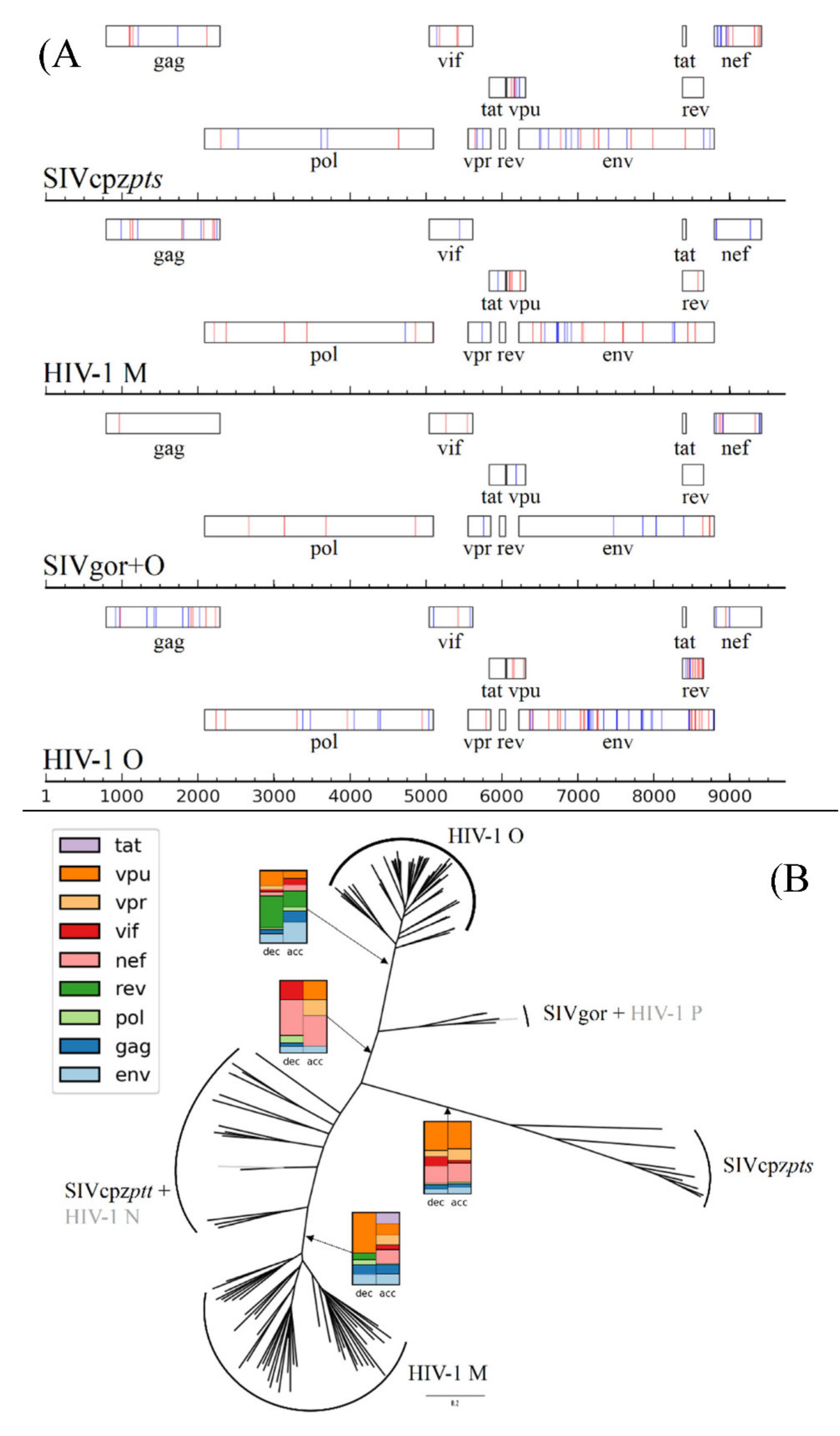 Viruses 12 01312 g002