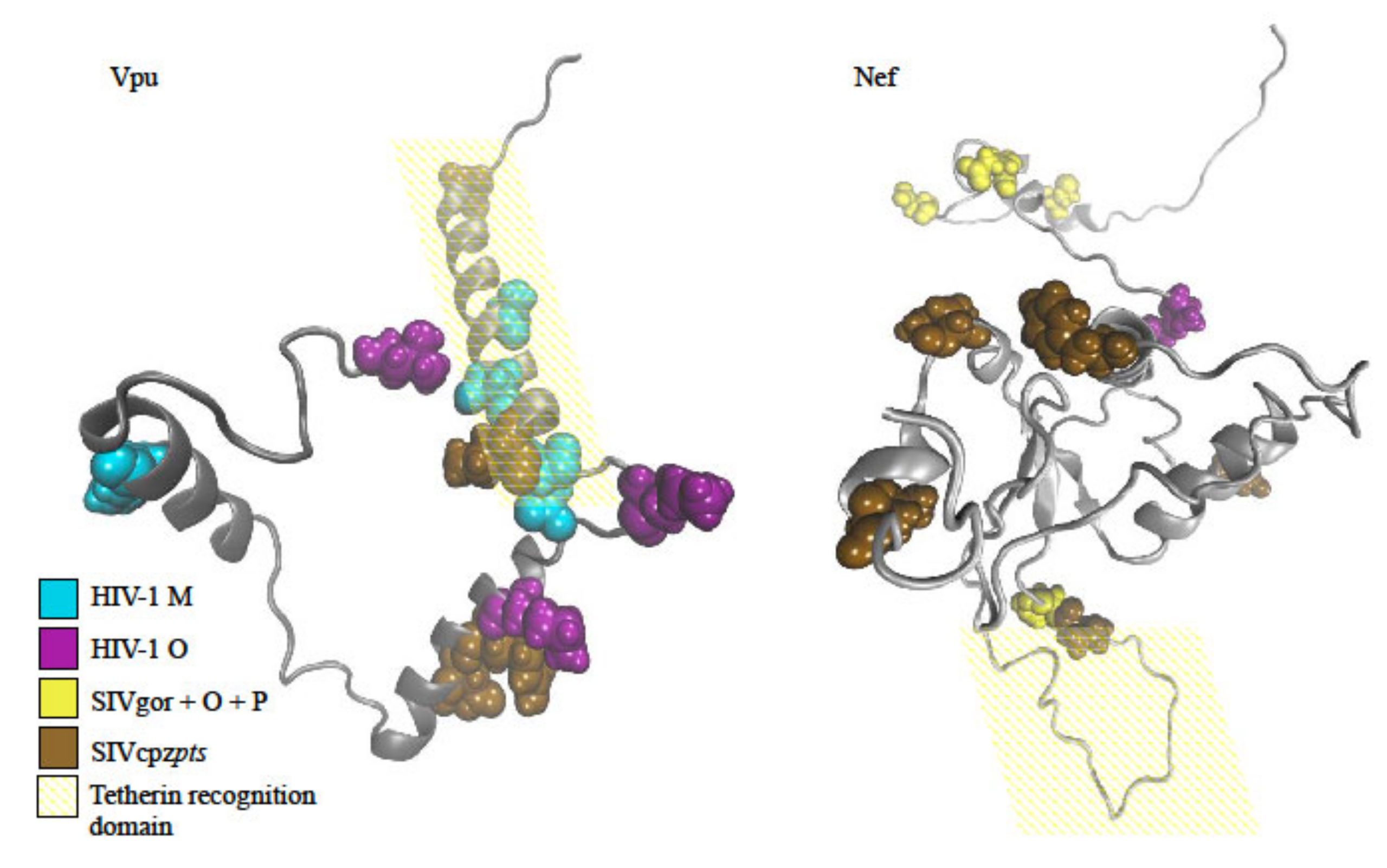 Viruses 12 01312 g003
