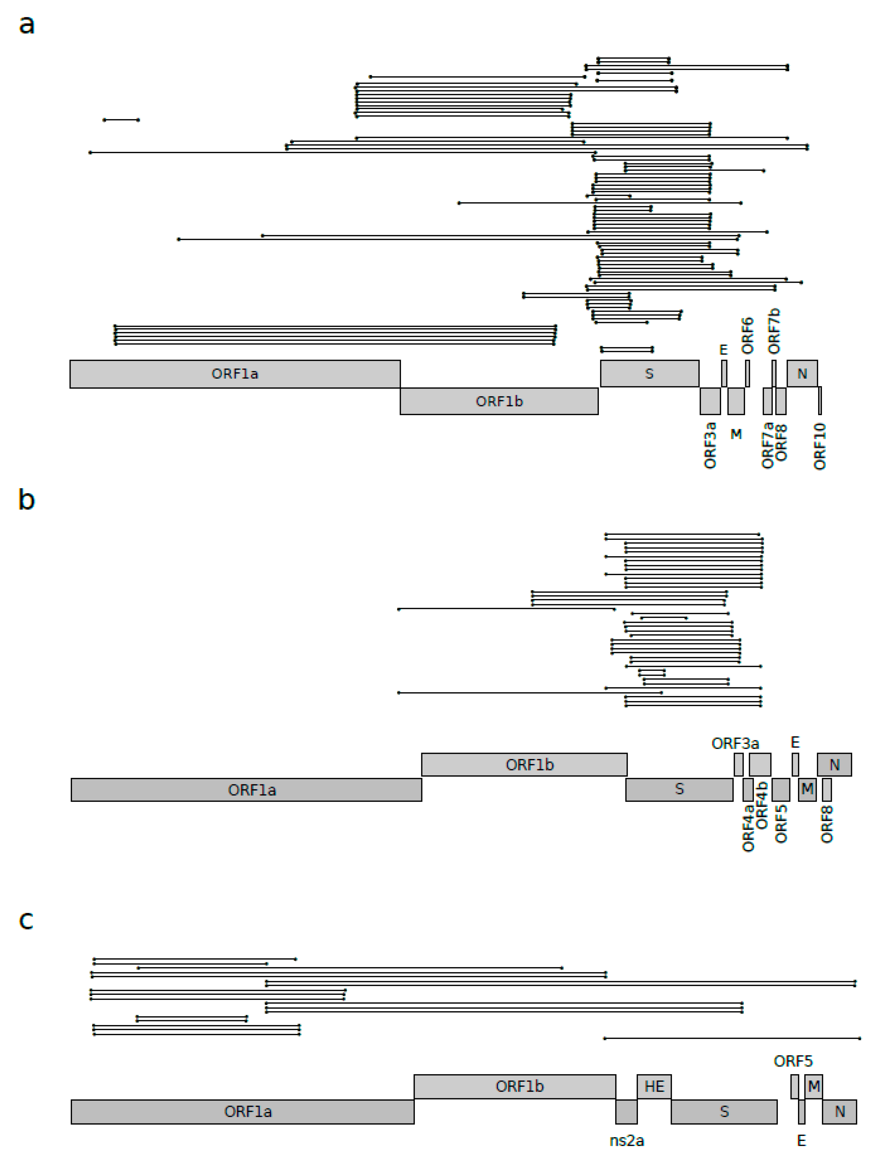 Viruses 12 01313 g001
