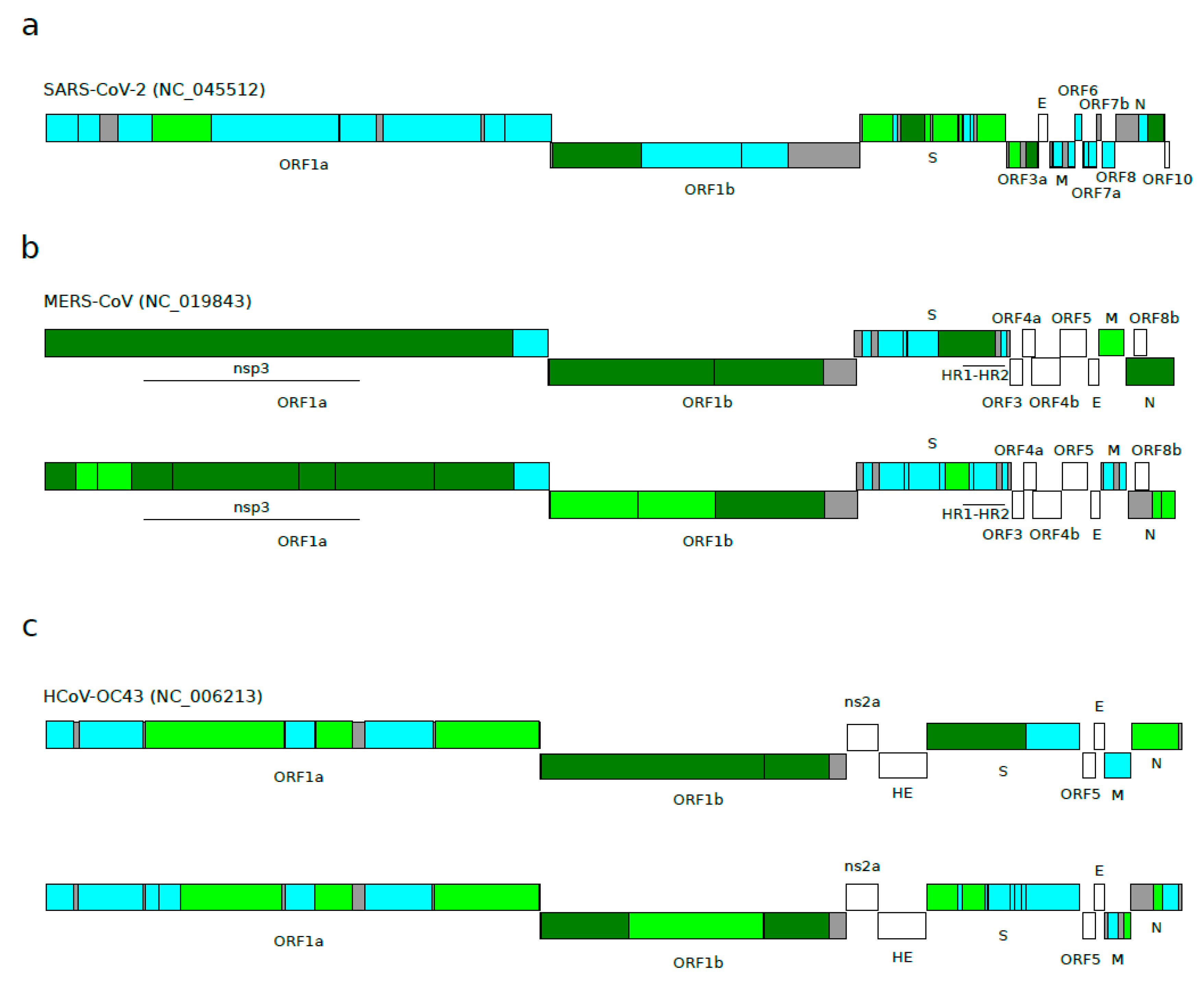 Viruses 12 01313 g002