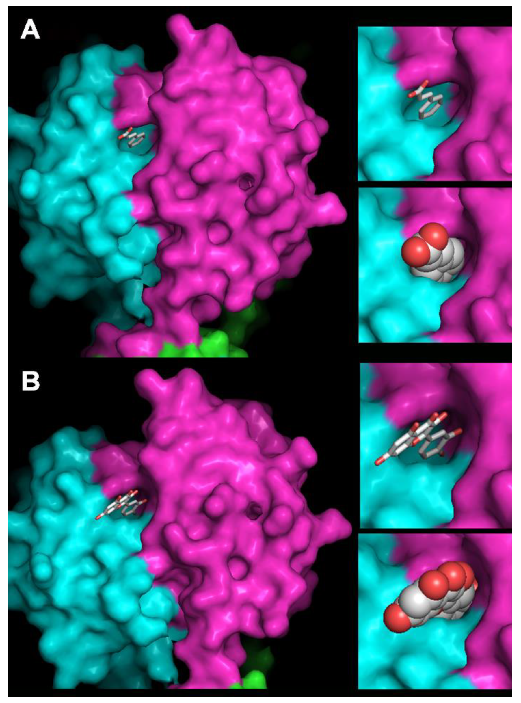 Viruses 12 01316 g006