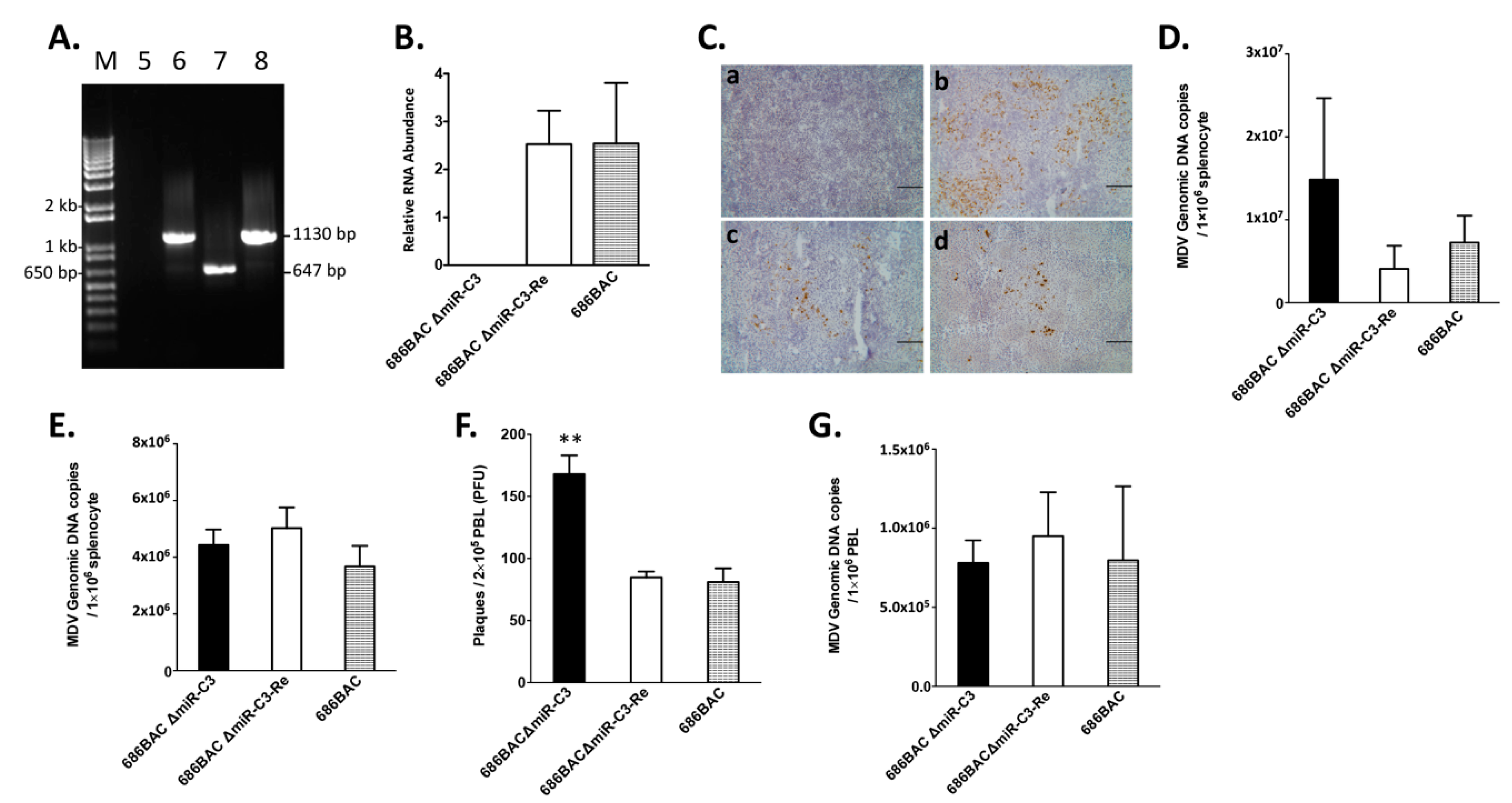 Viruses 12 01317 g002