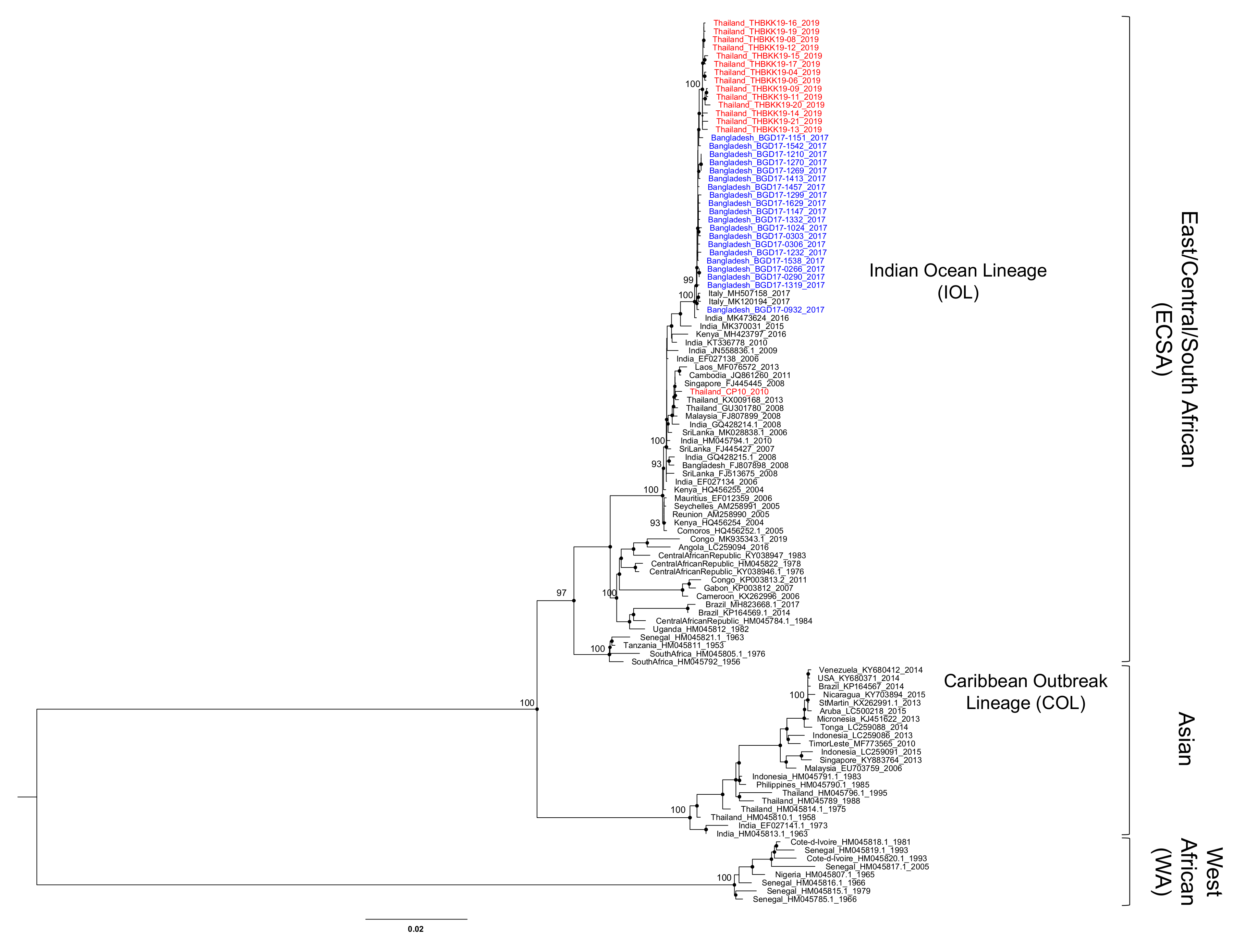 Viruses 12 01319 g002