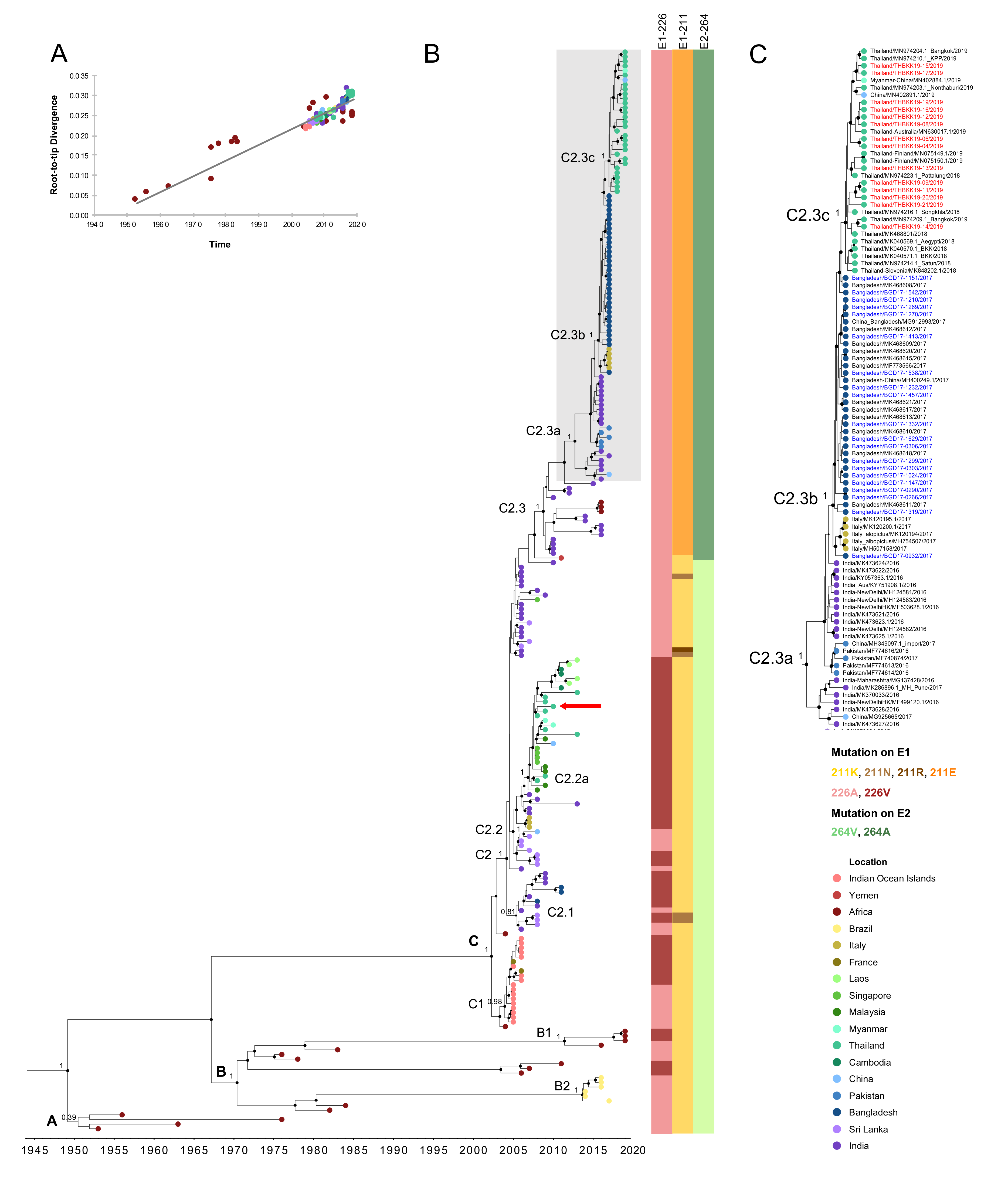 Viruses 12 01319 g003