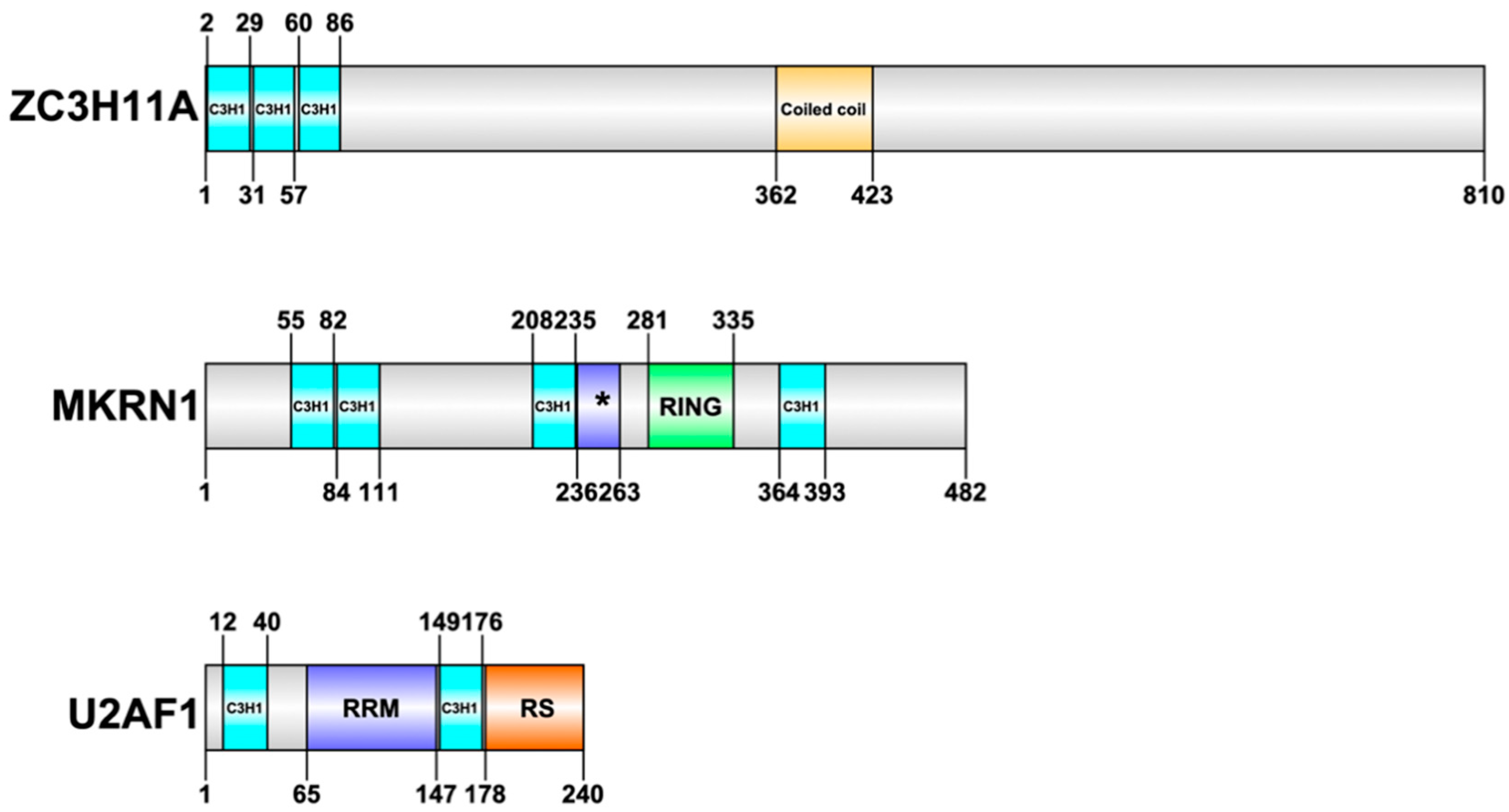 Viruses 12 01322 g001 Viruses 12 01322 g001