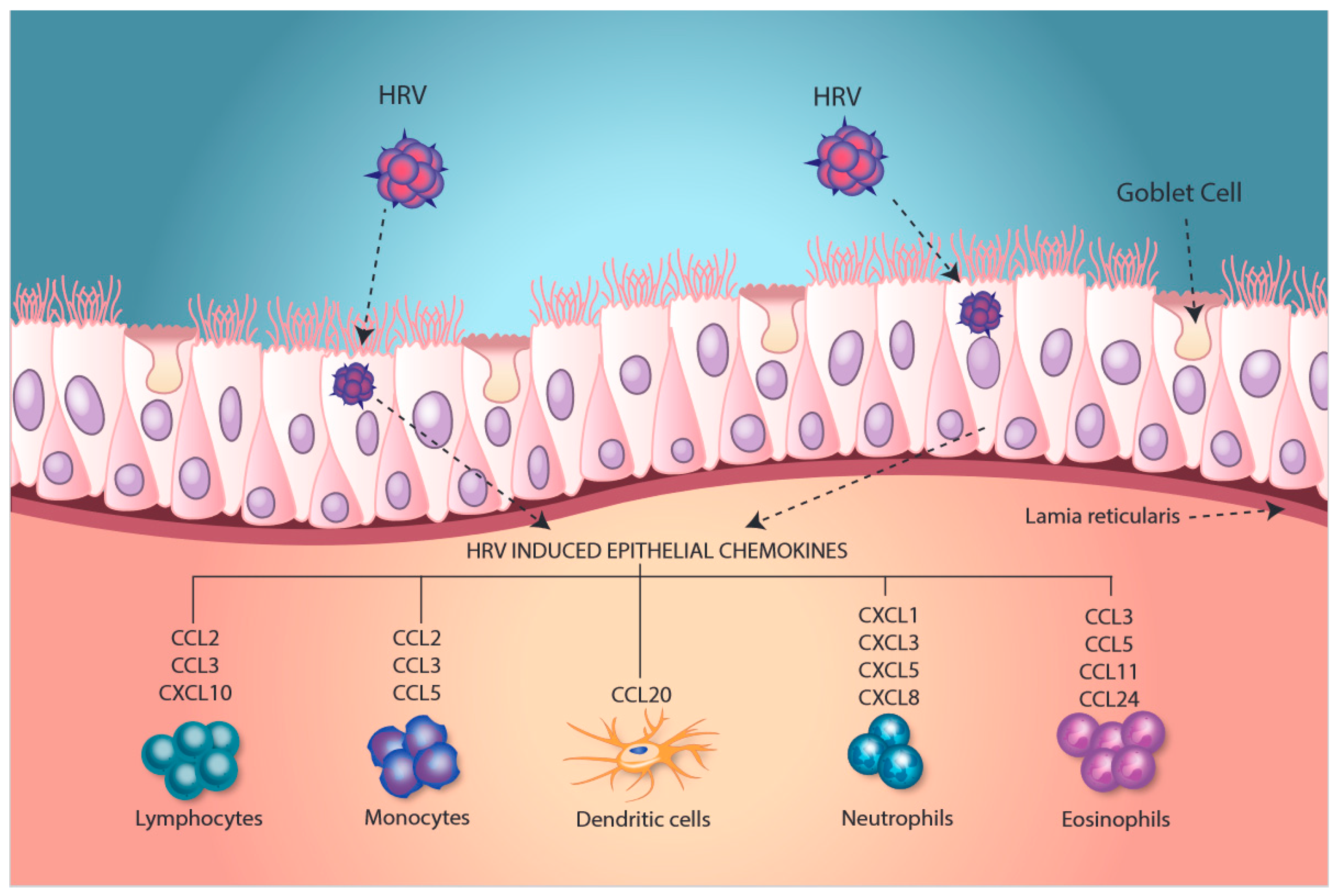 Viruses 12 01328 g001