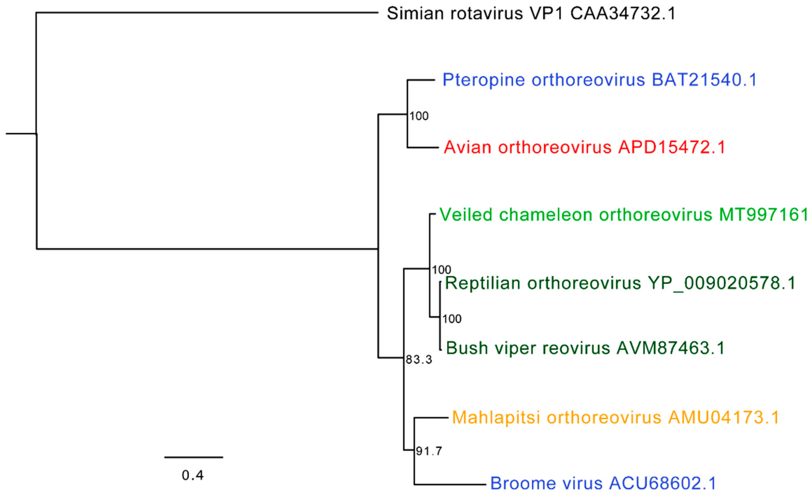 Viruses 12 01329 g006