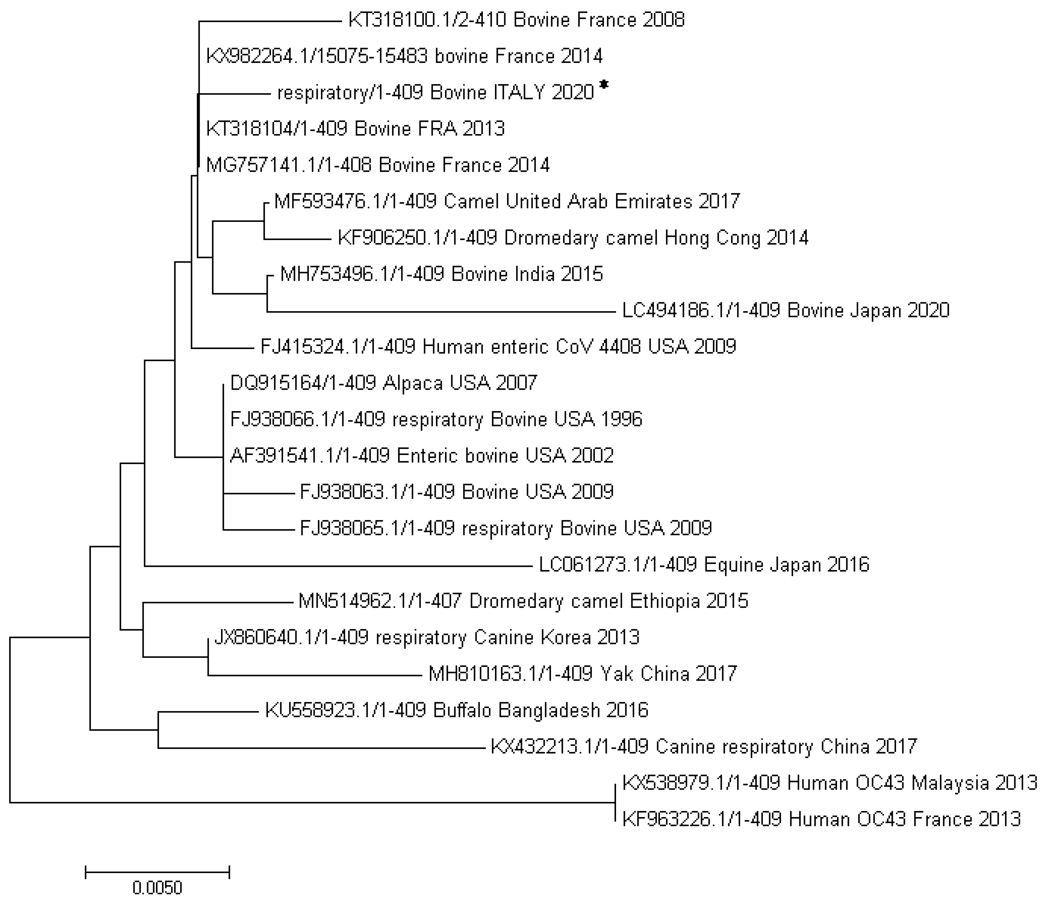 Viruses 12 01331 g004
