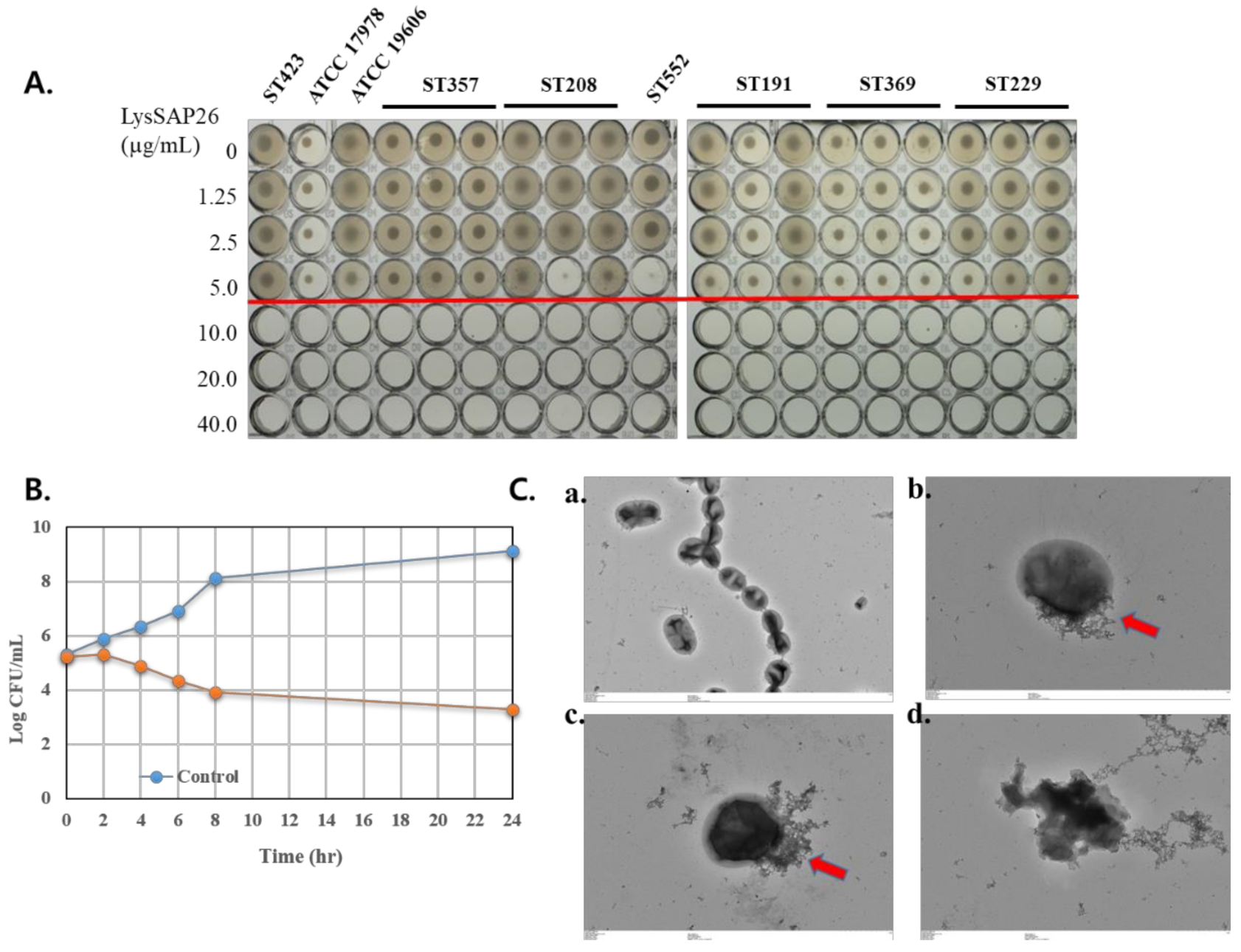 Viruses 12 01340 g002