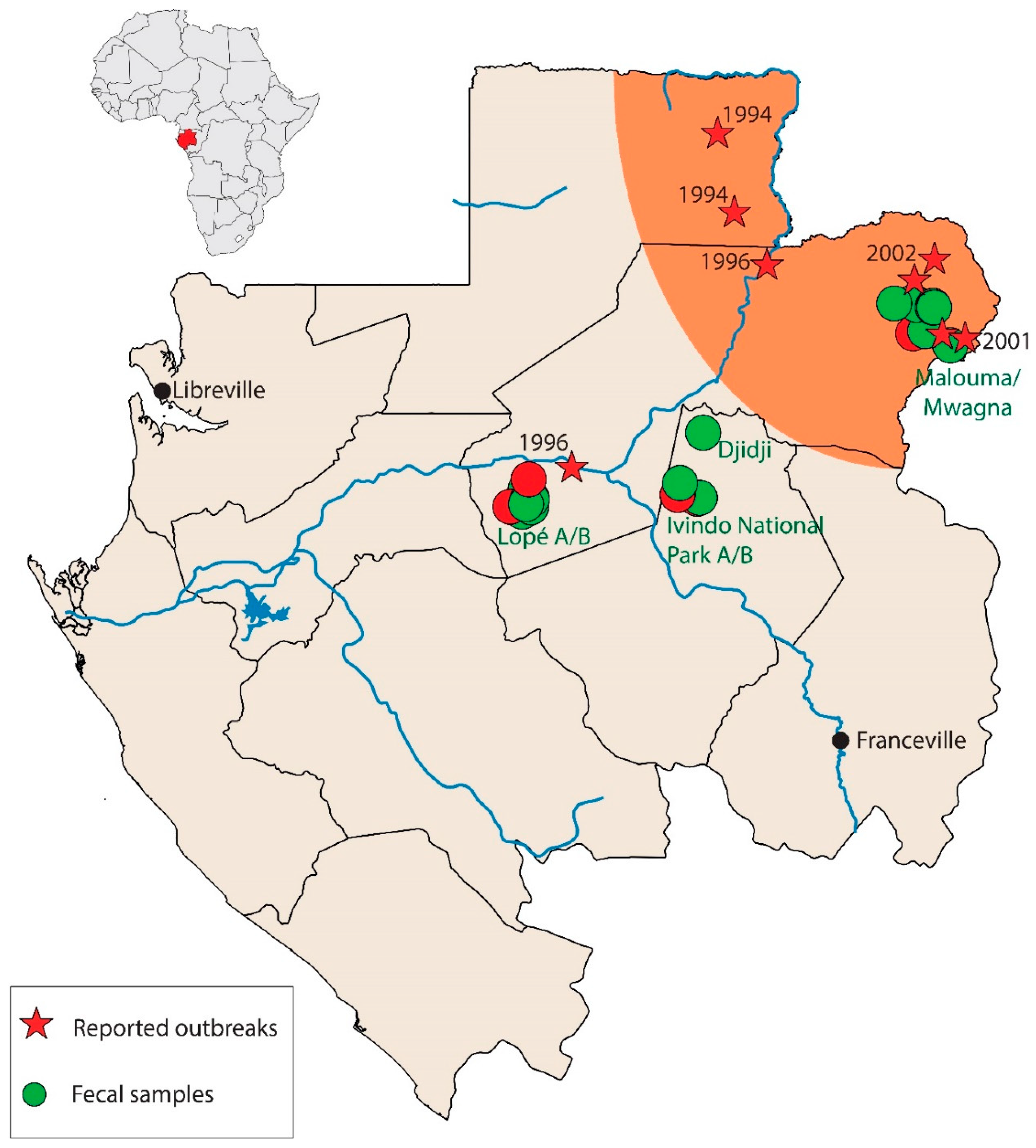 Viruses 12 01347 g001