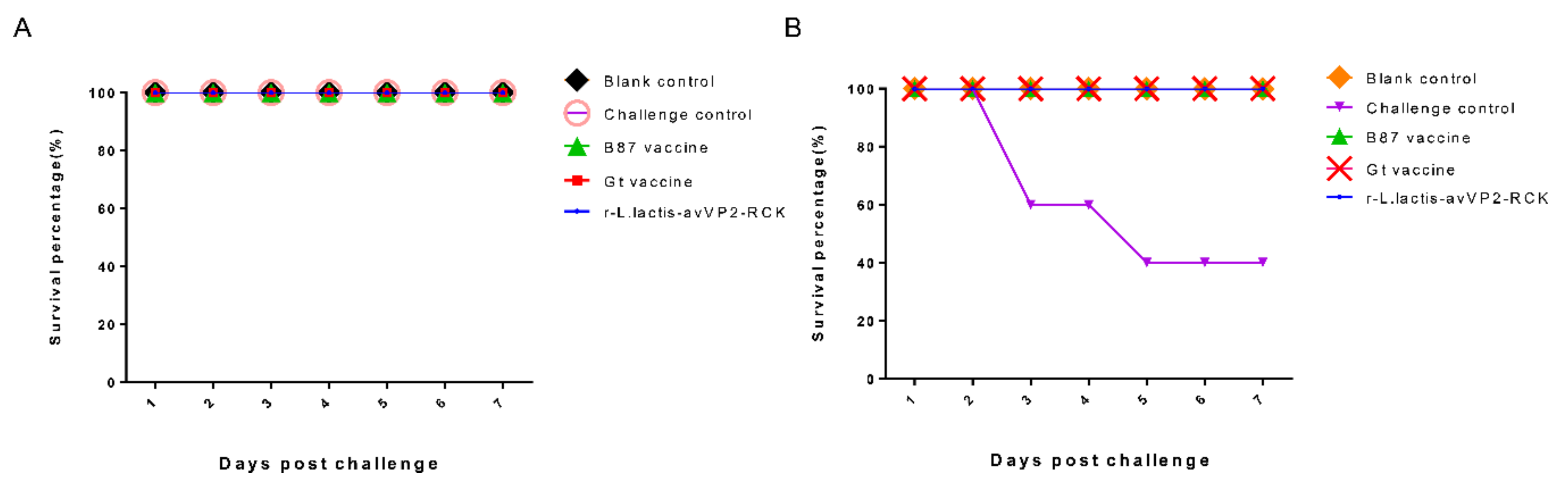 Viruses 12 01350 g003