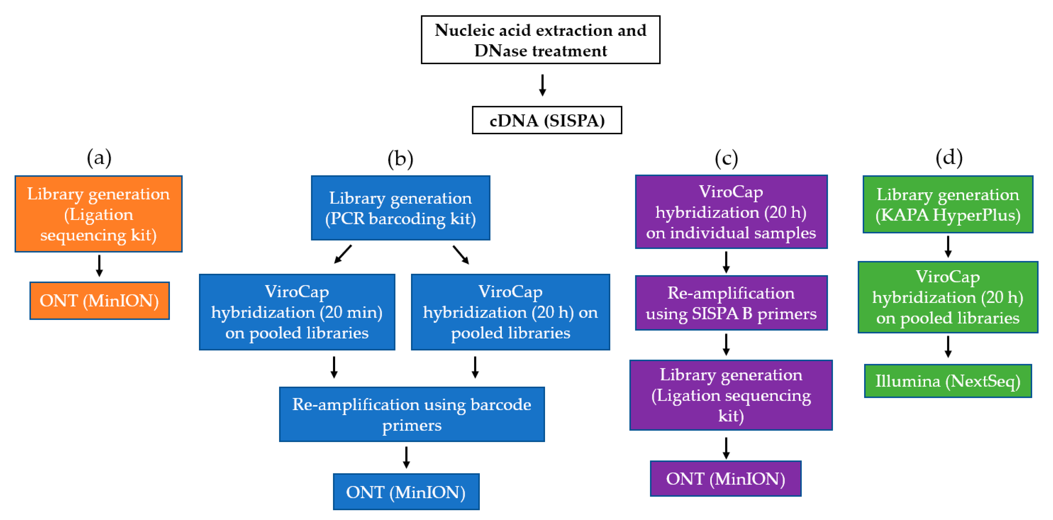 Viruses 12 01358 g001