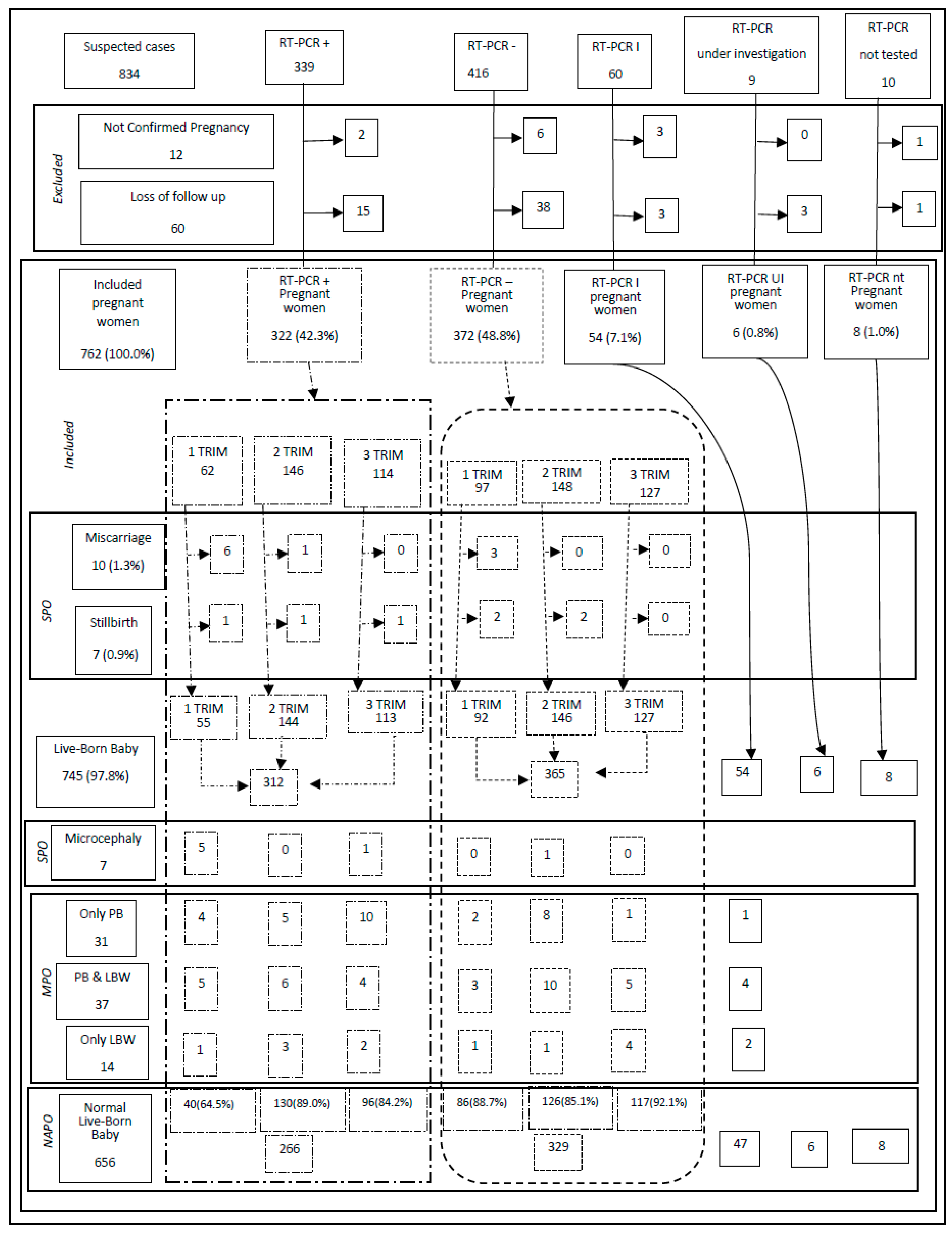 Viruses 12 01362 g001