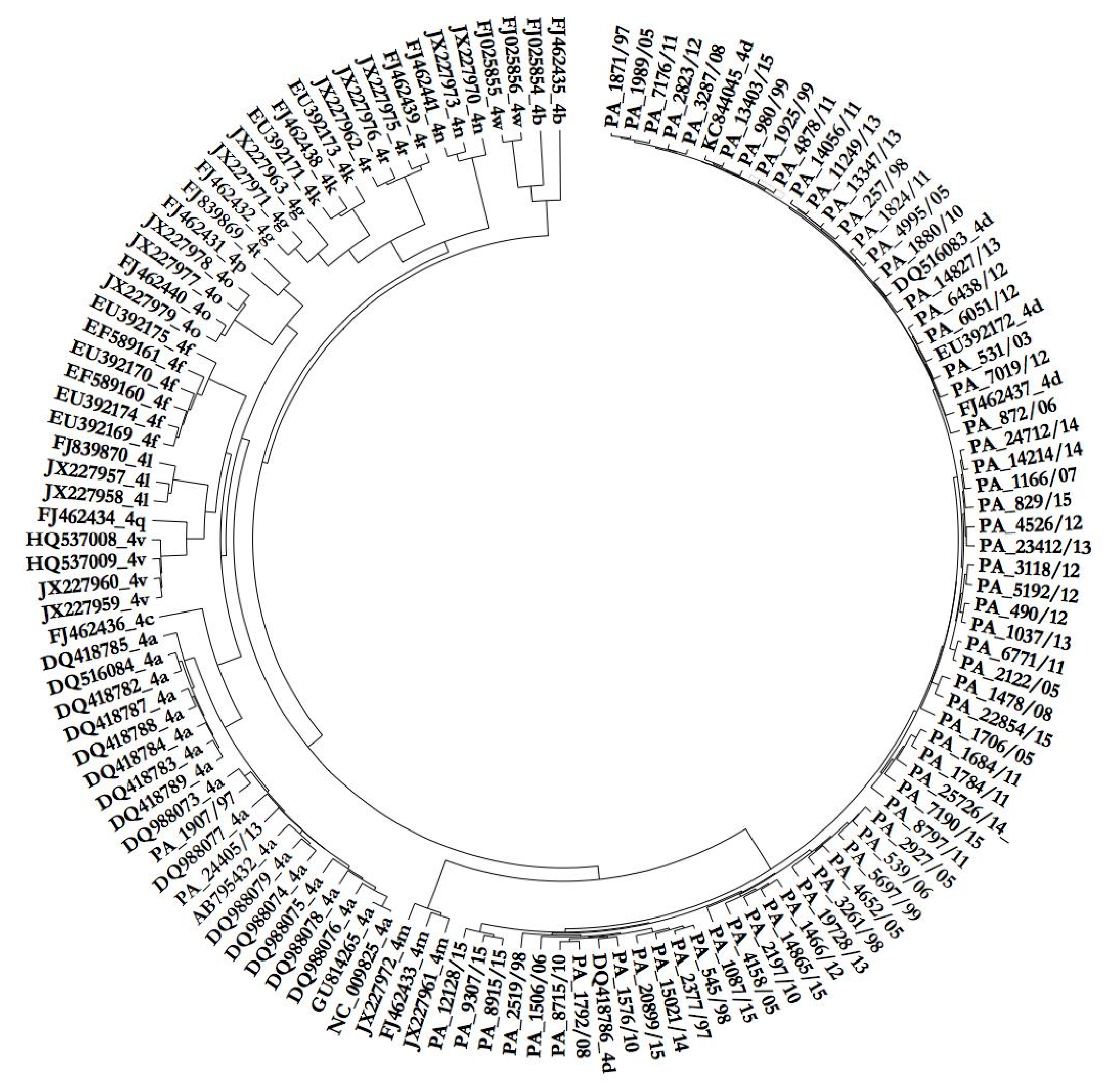 Viruses 12 01363 g001 Viruses 12 01363 g001