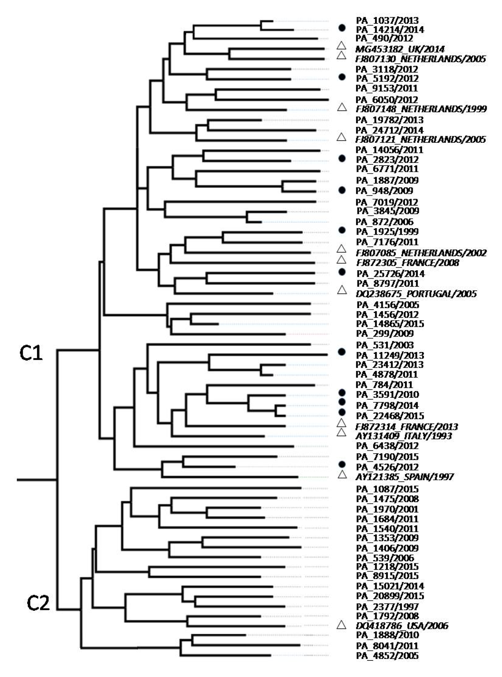 Viruses 12 01363 g002 Viruses 12 01363 g002