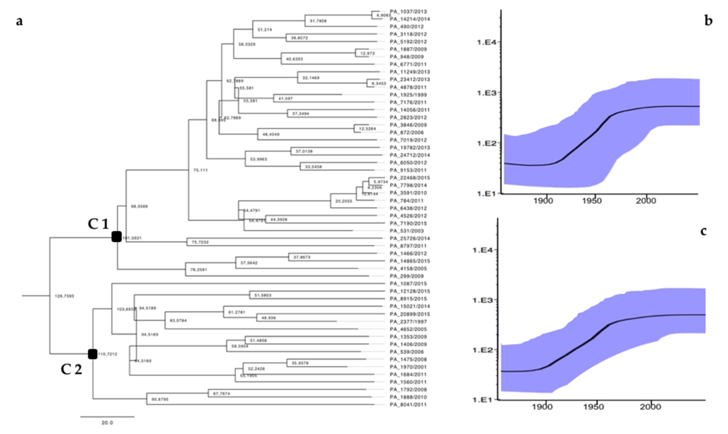Viruses 12 01363 g003 Viruses 12 01363 g003