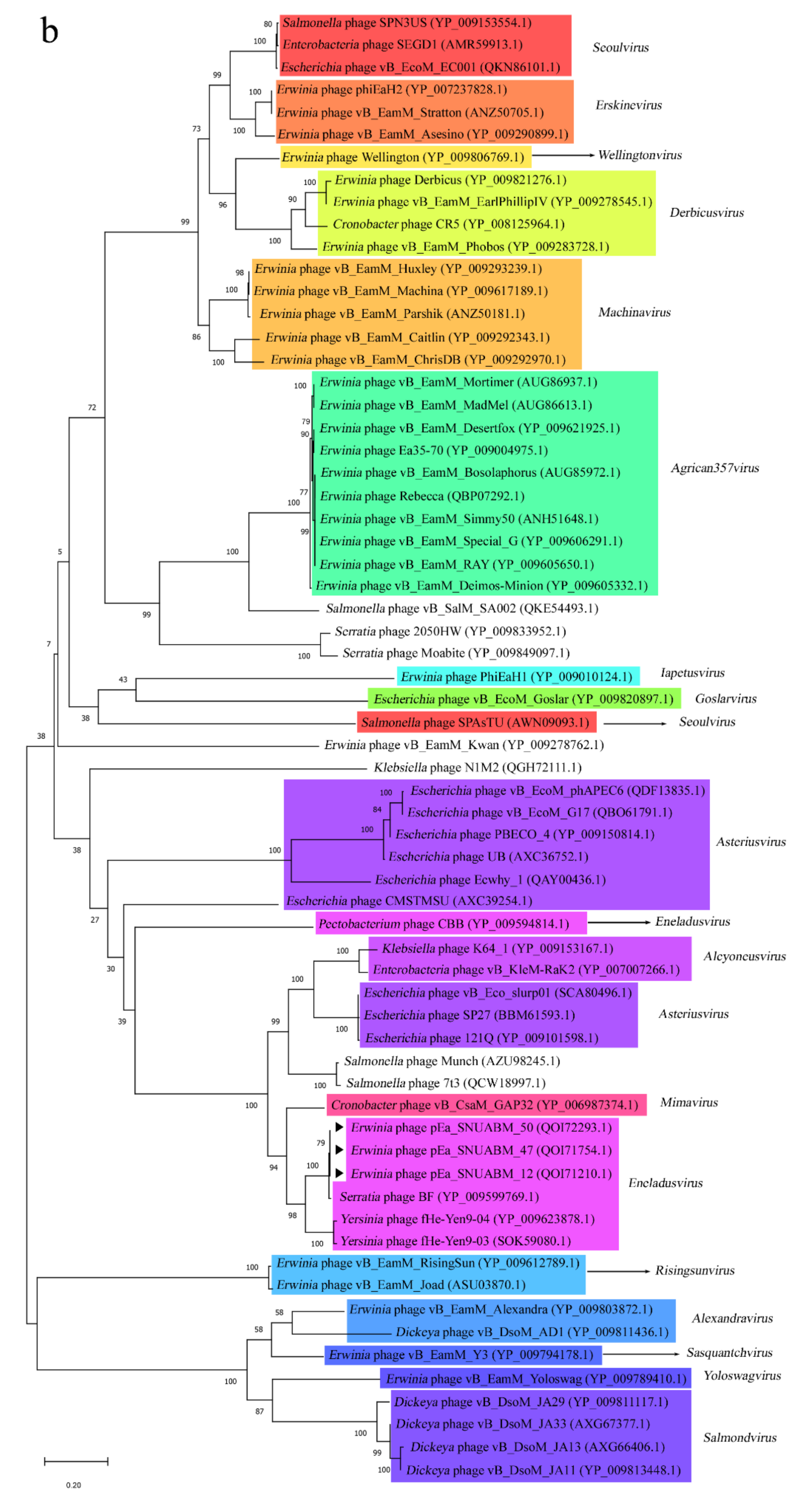 Viruses 12 01373 g004b Viruses 12 01373 g004b