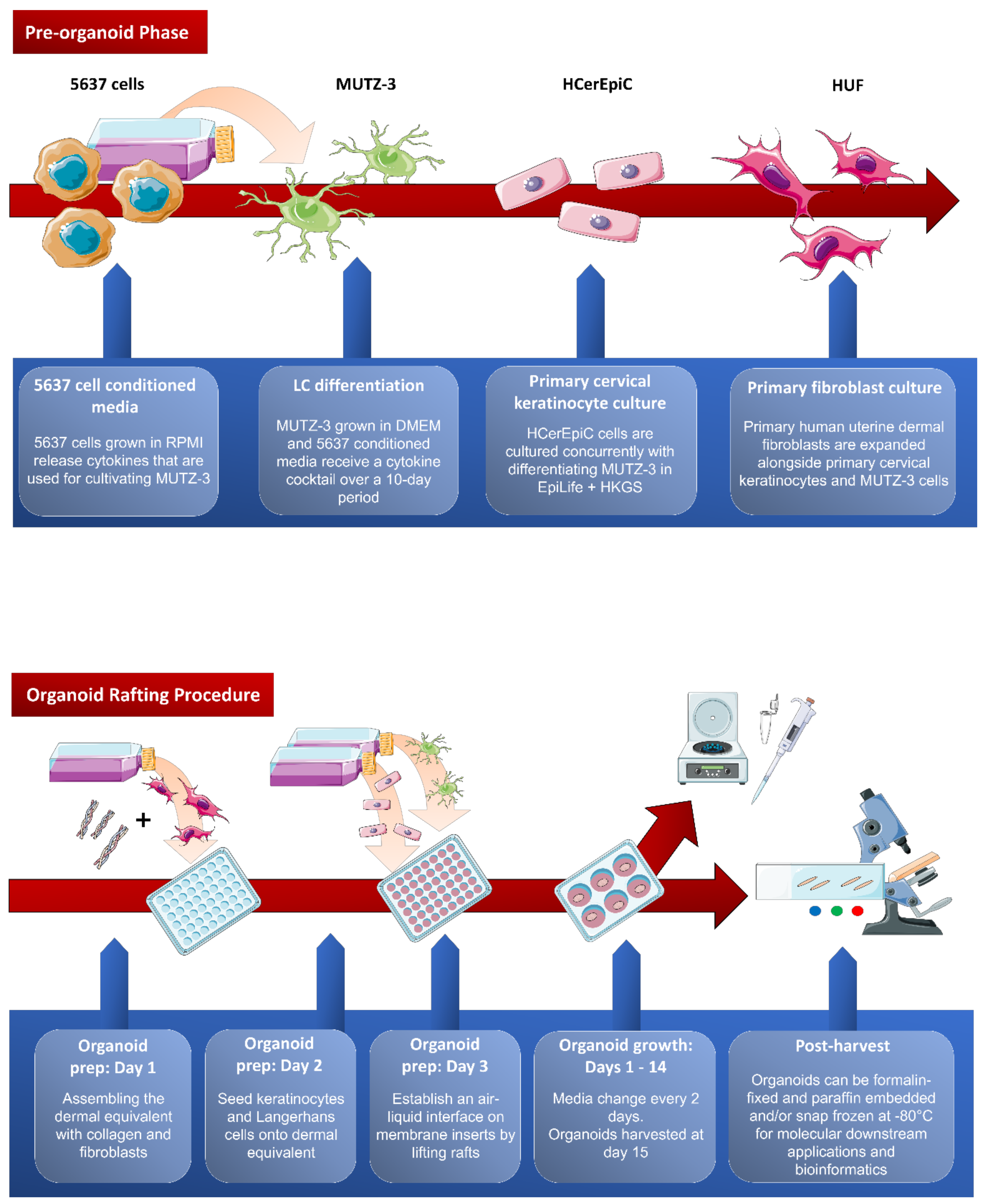 Viruses 12 01375 g0a1