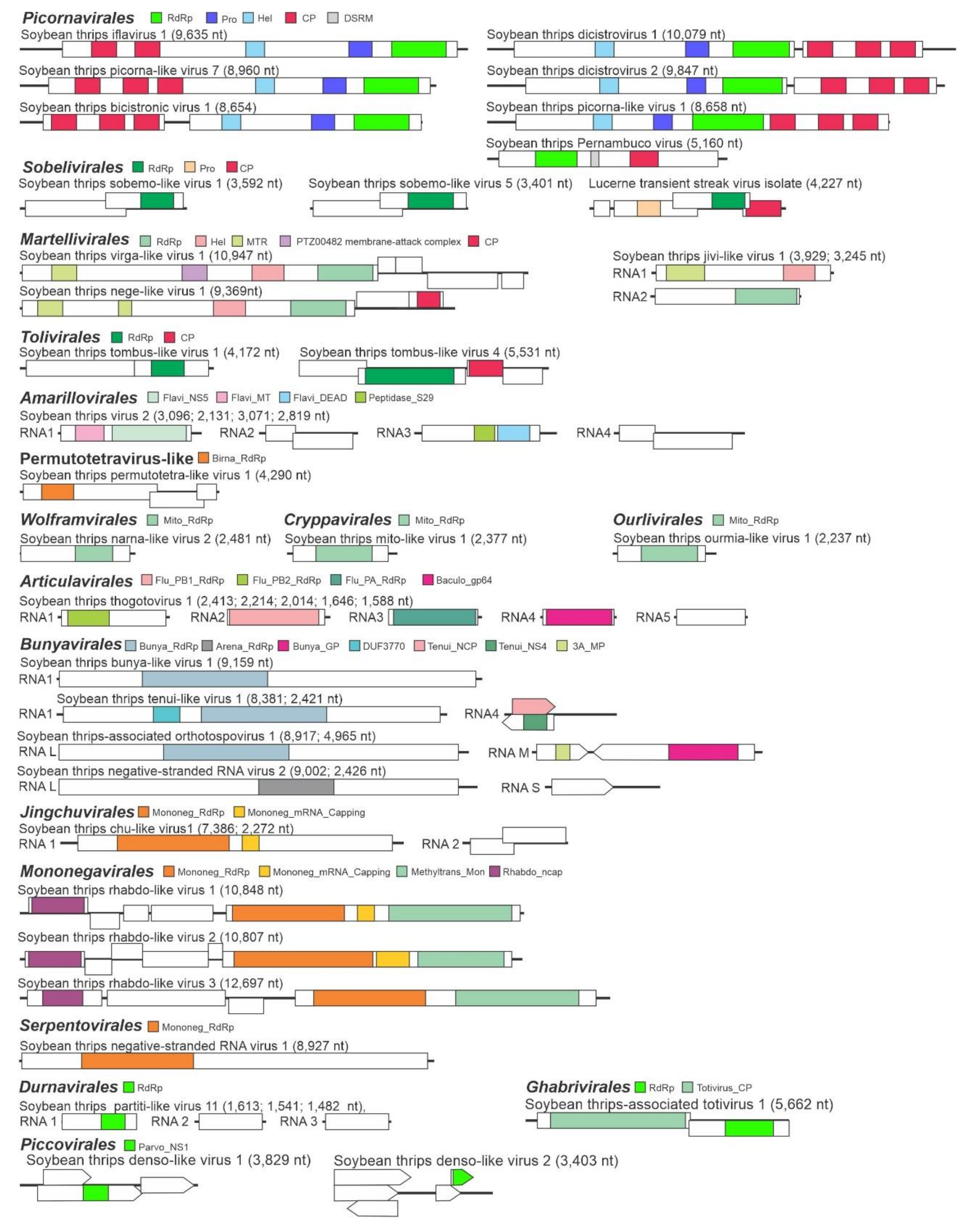 Viruses 12 01376 g001