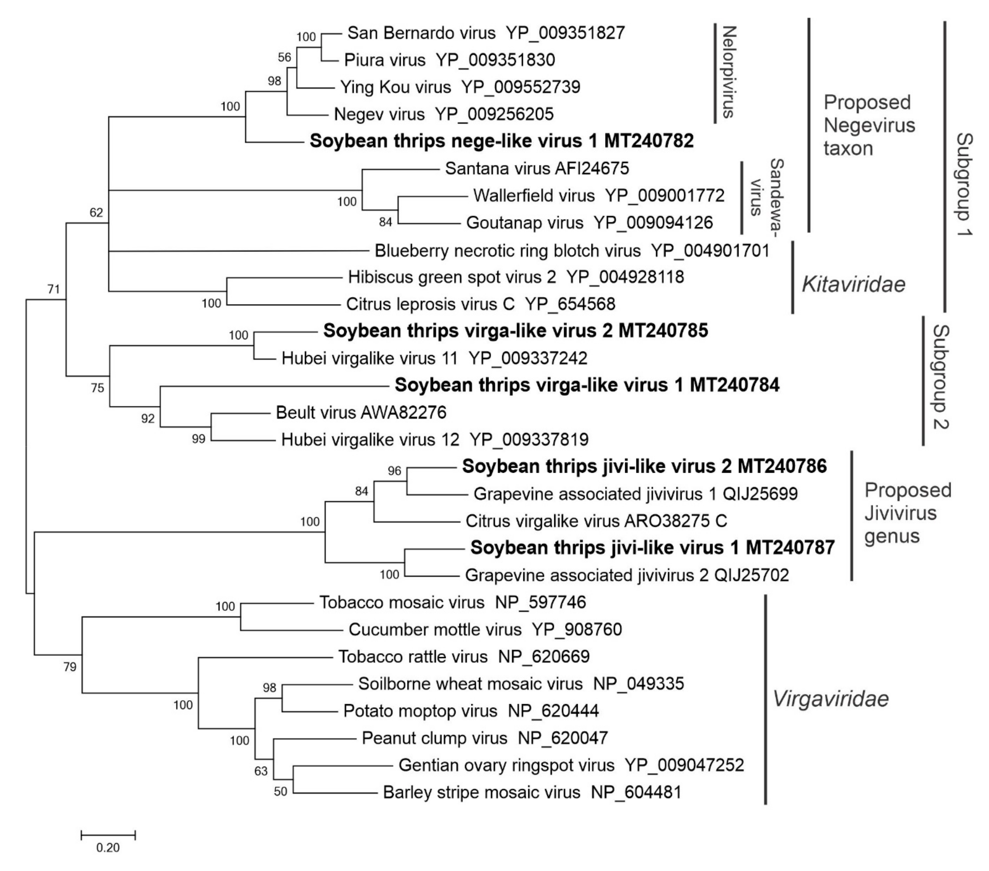 Viruses 12 01376 g004