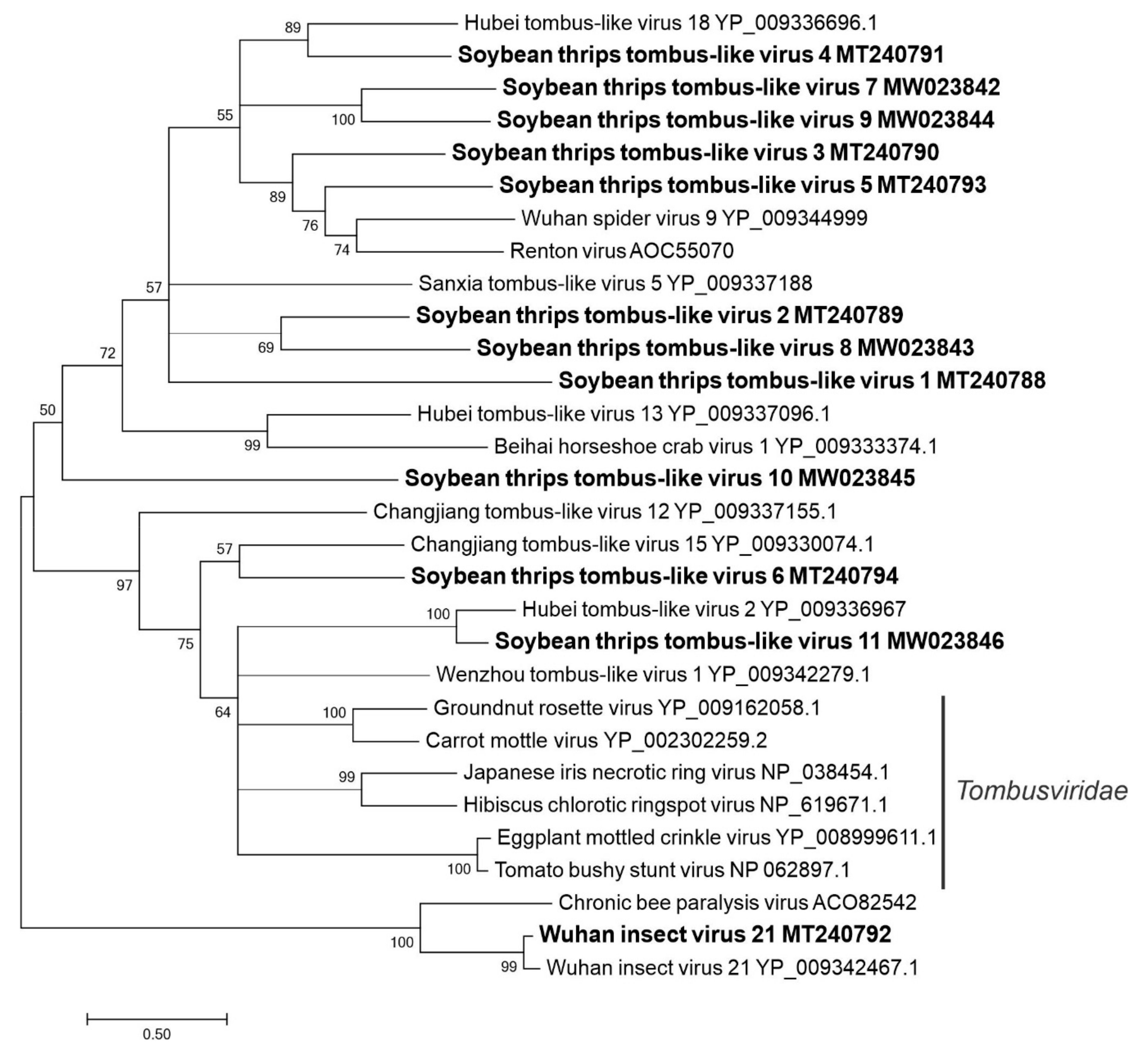 Viruses 12 01376 g005