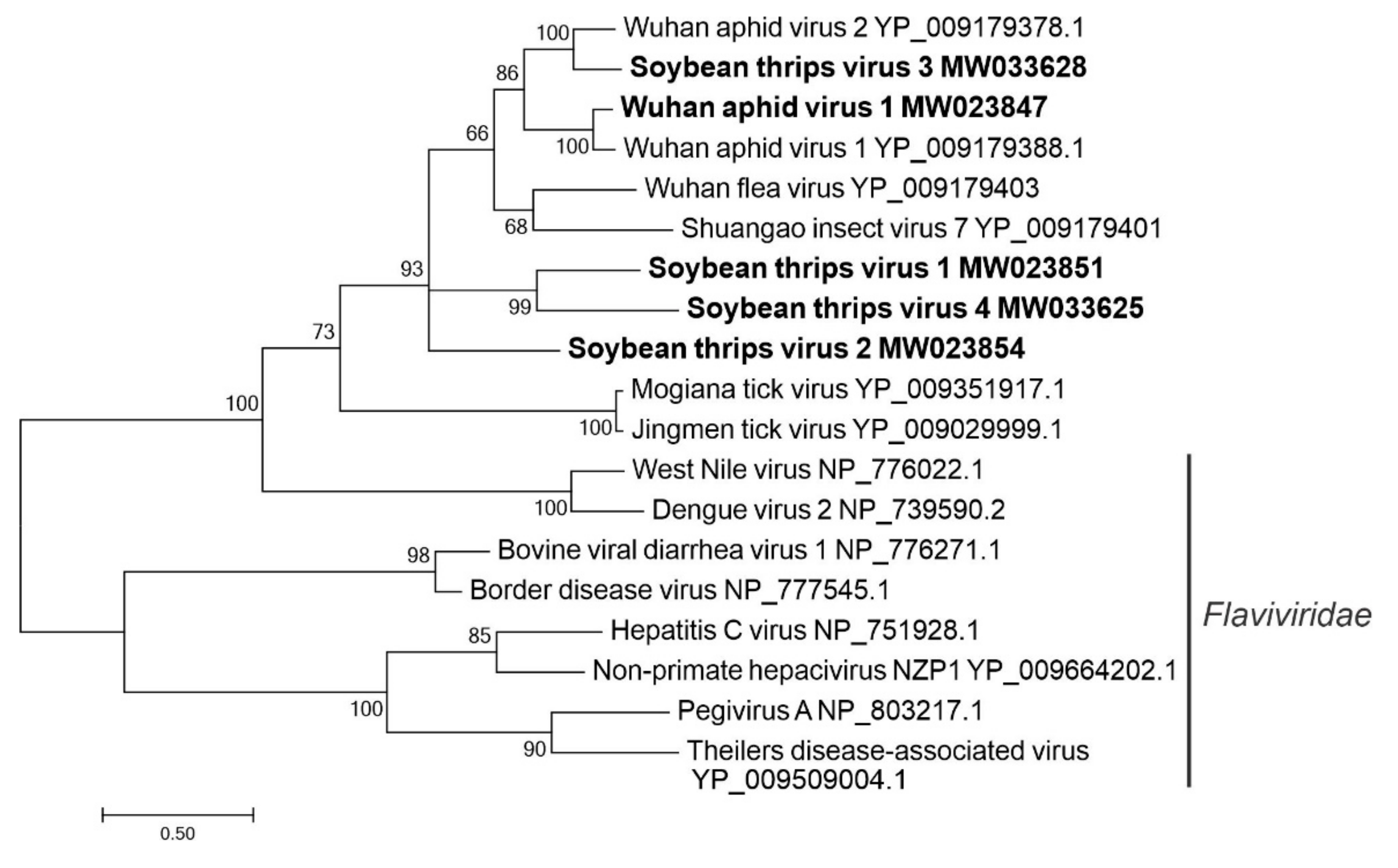 Viruses 12 01376 g006