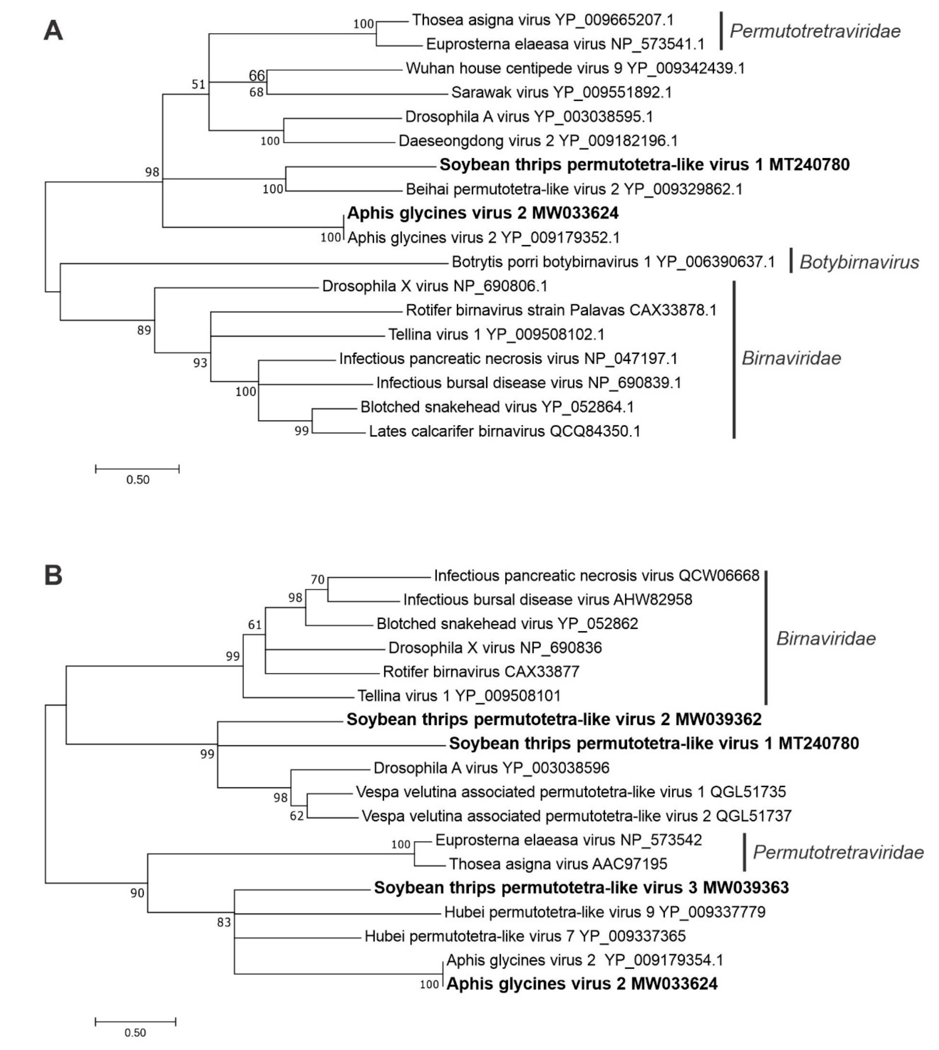 Viruses 12 01376 g008