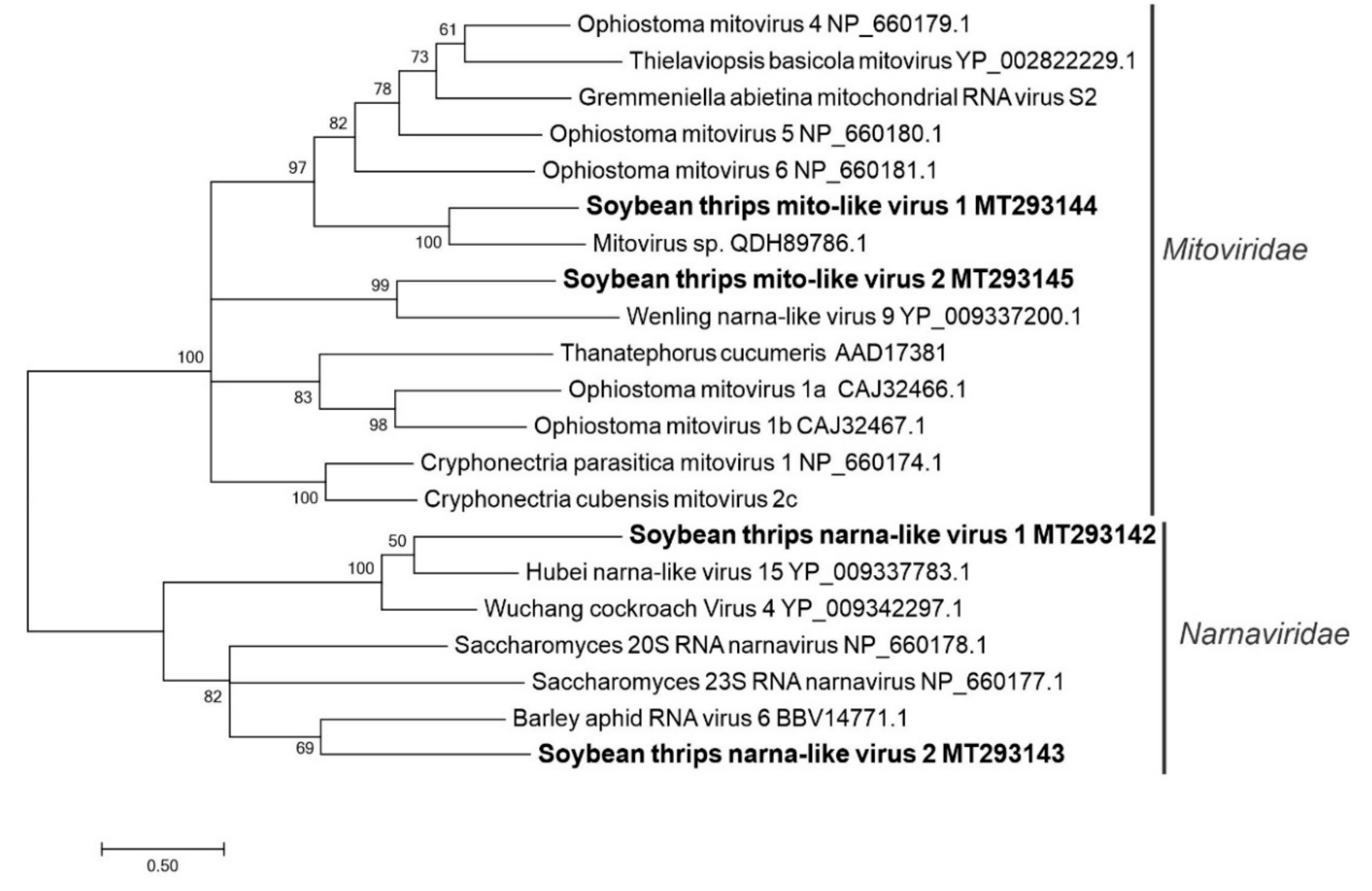 Viruses 12 01376 g009