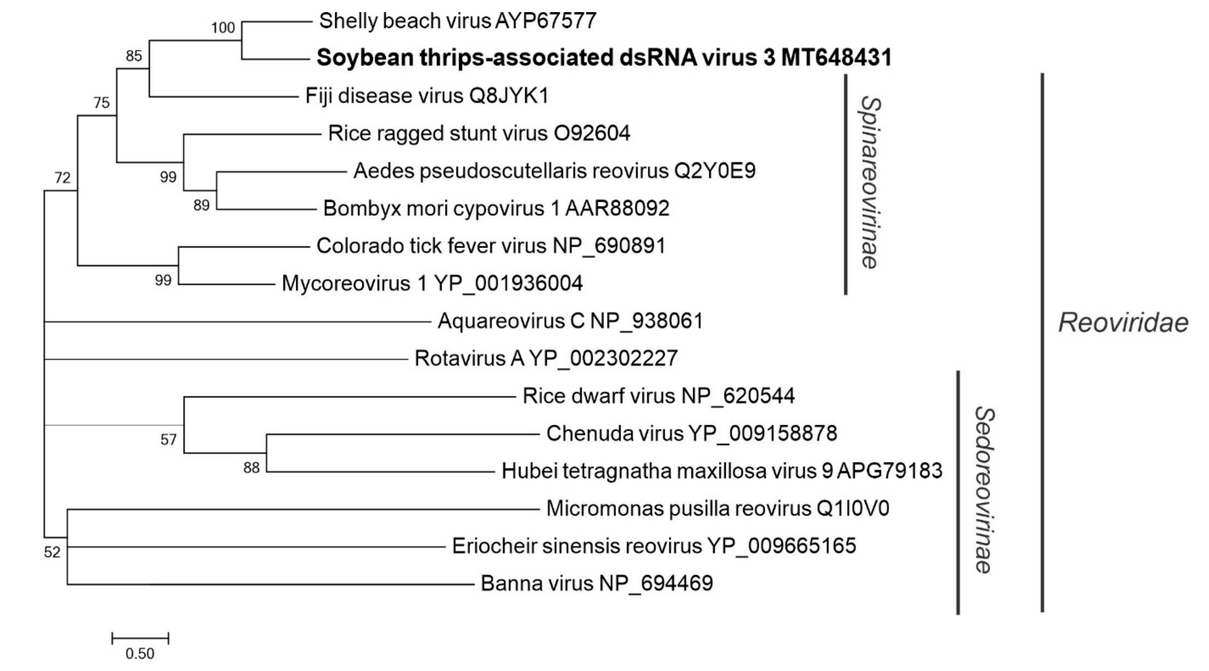 Viruses 12 01376 g015