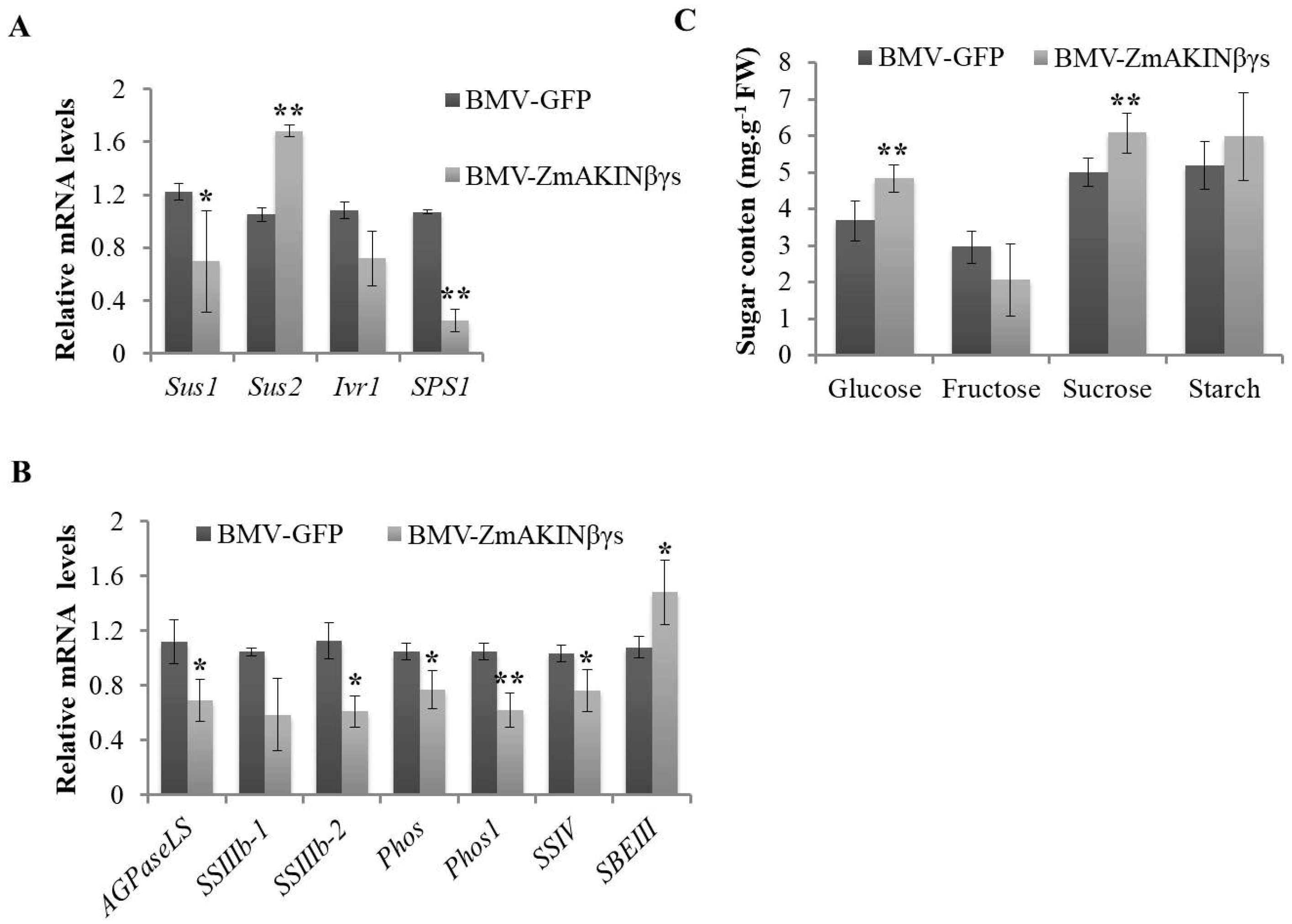 Viruses 12 01387 g005