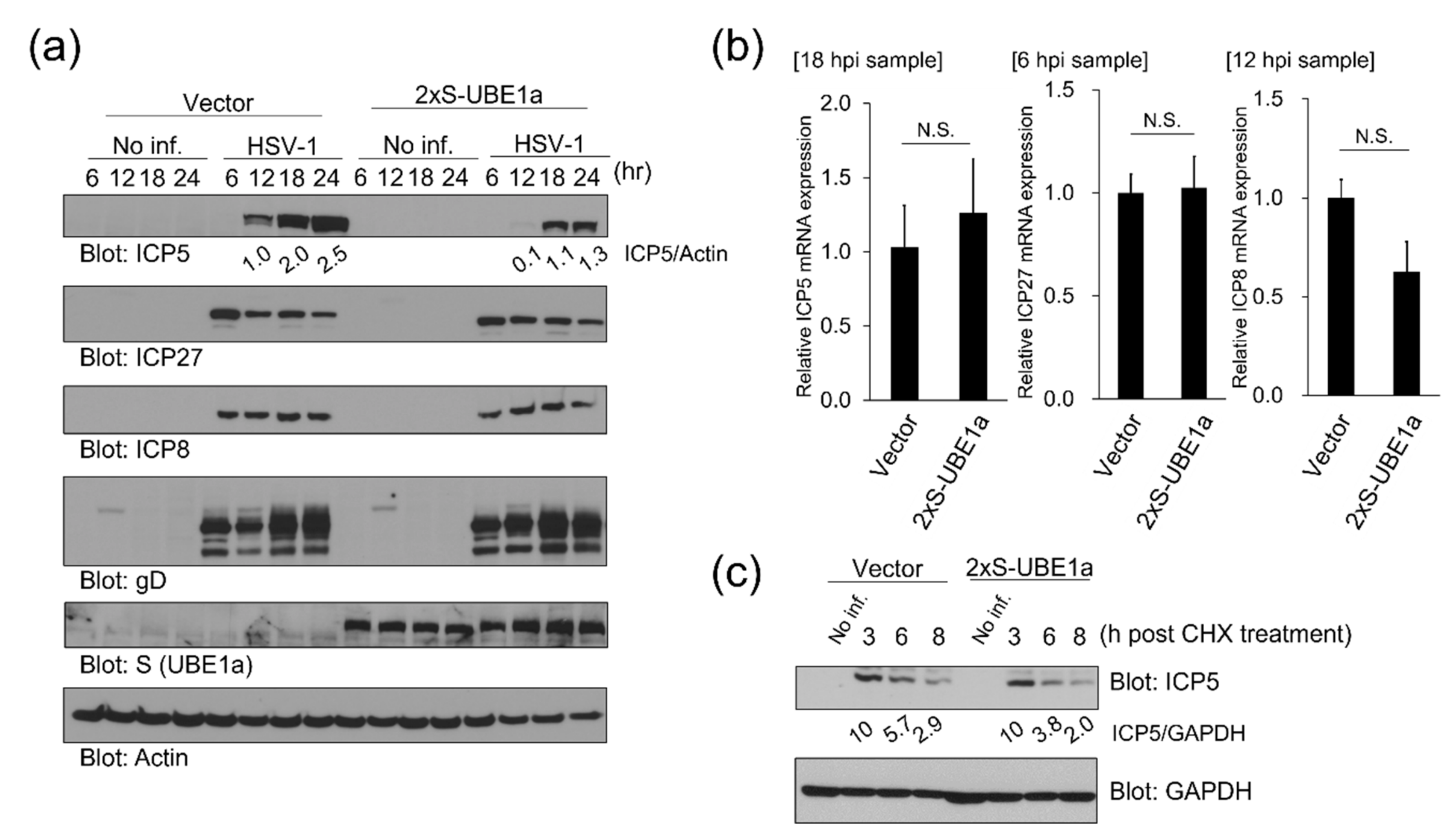 mdpi