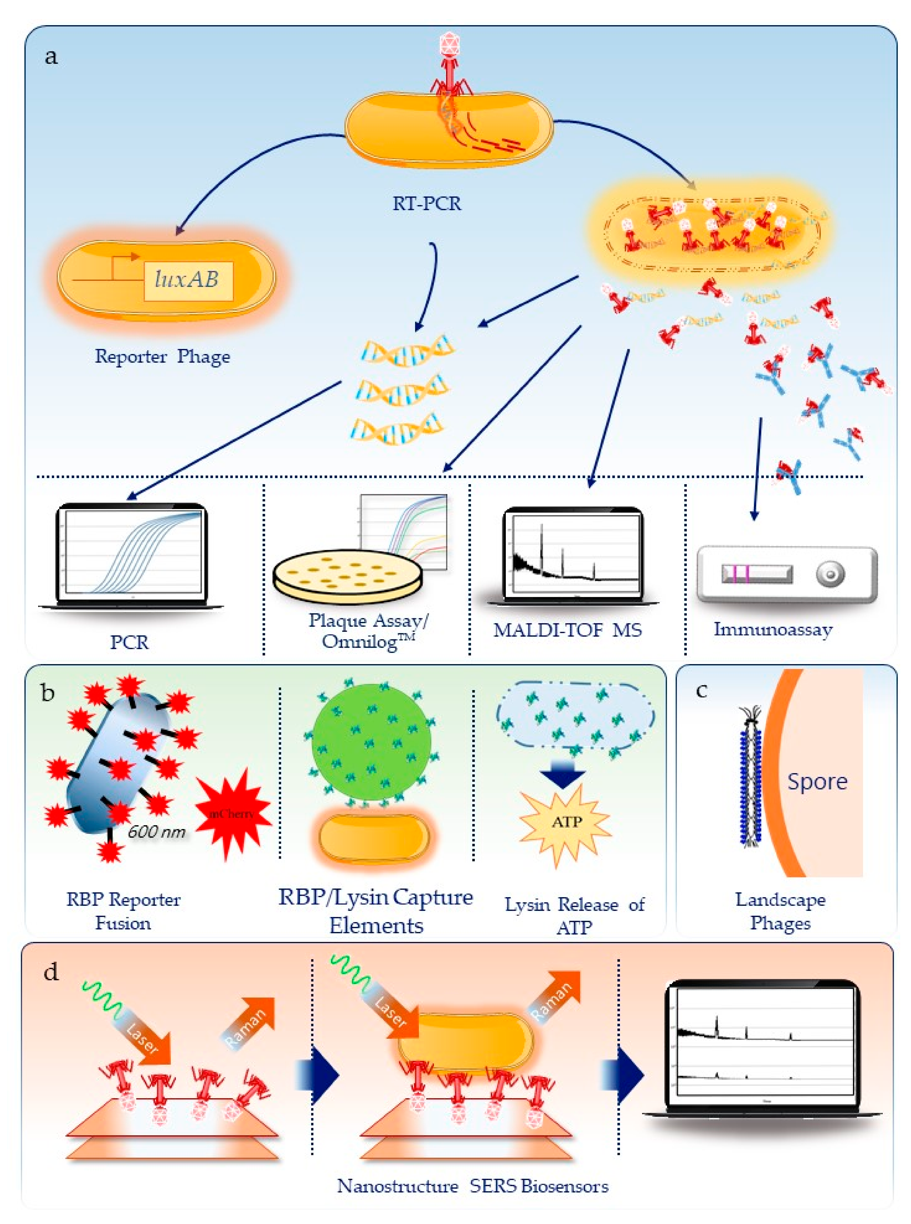 Viruses Free FullText The State of the Art in Biodefense Related
