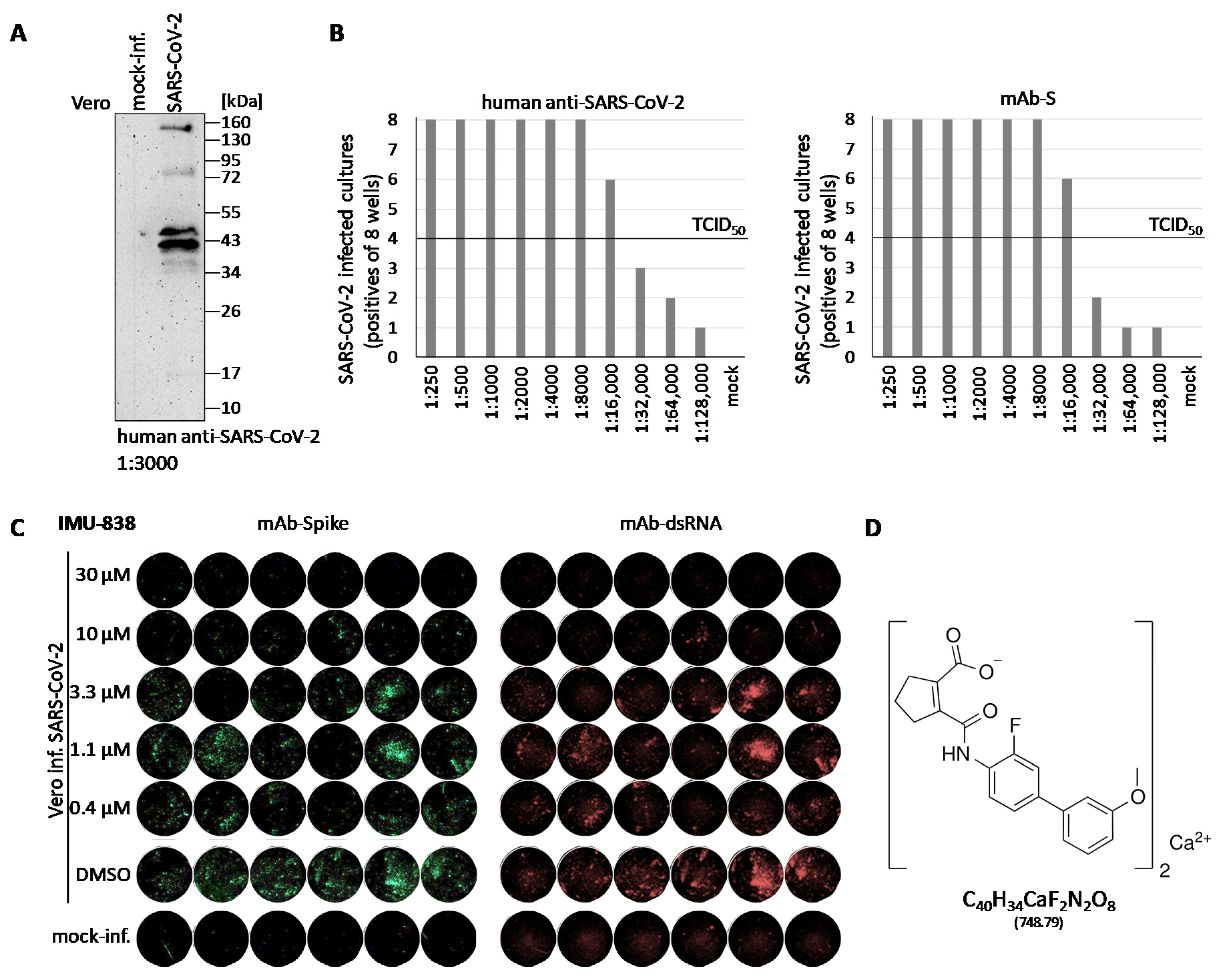 Viruses 12 01394 g001 Viruses 12 01394 g001