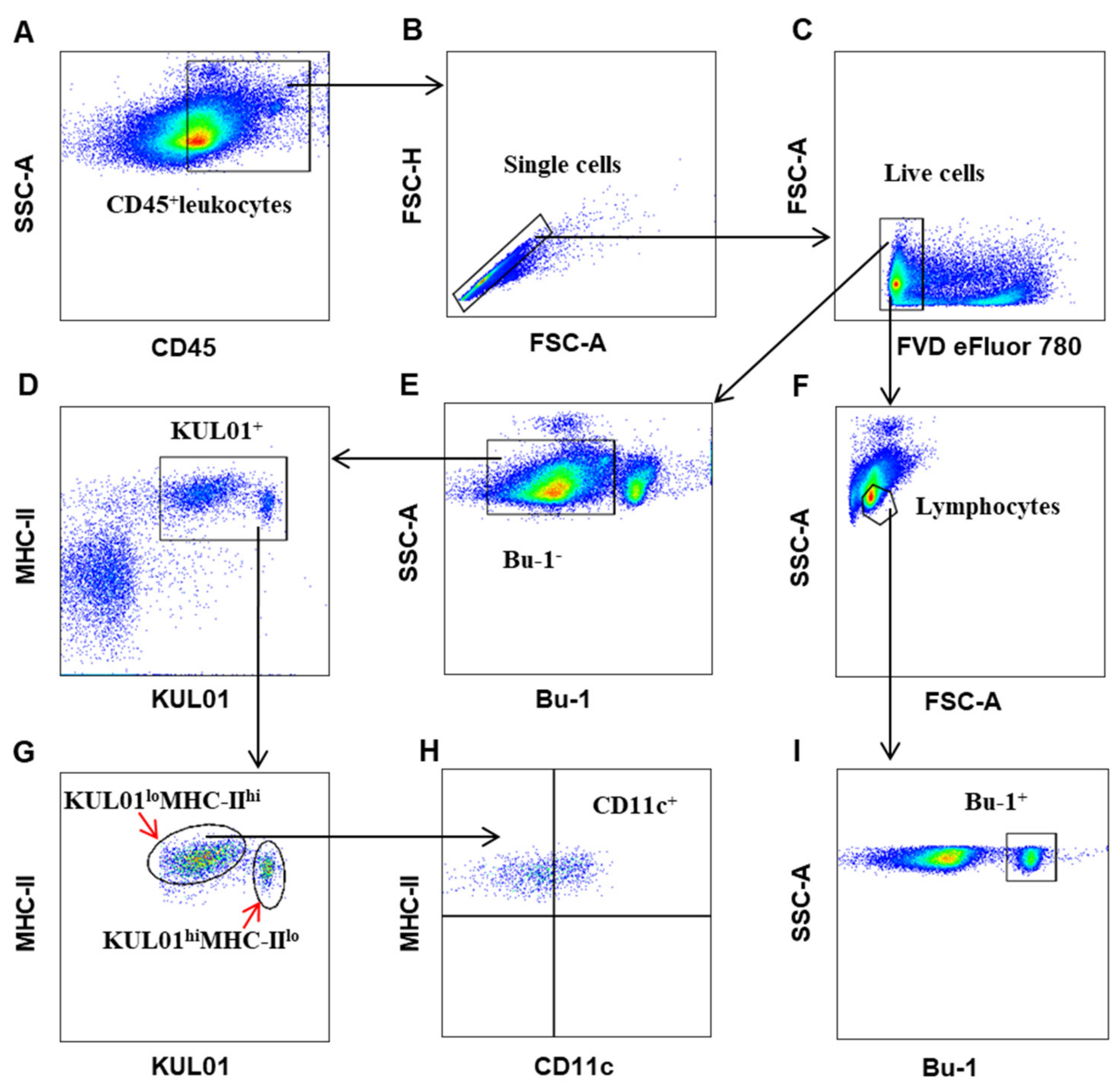 Viruses 12 01396 g001