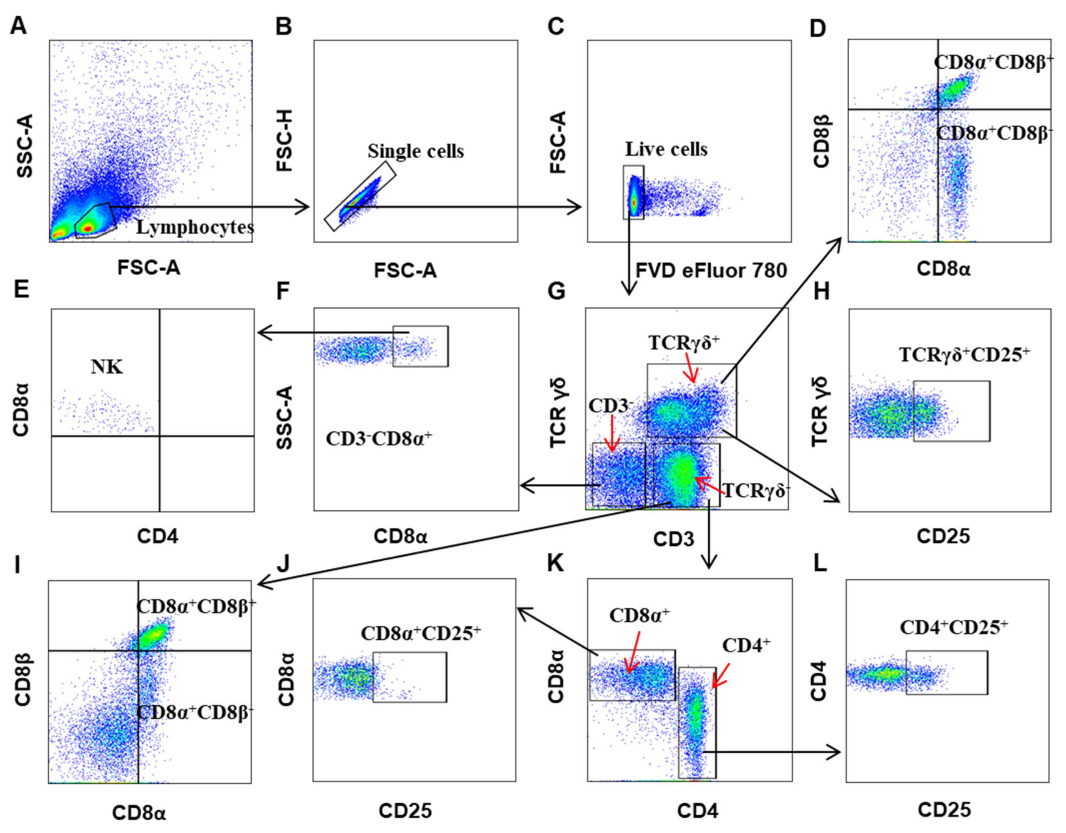 Viruses 12 01396 g002