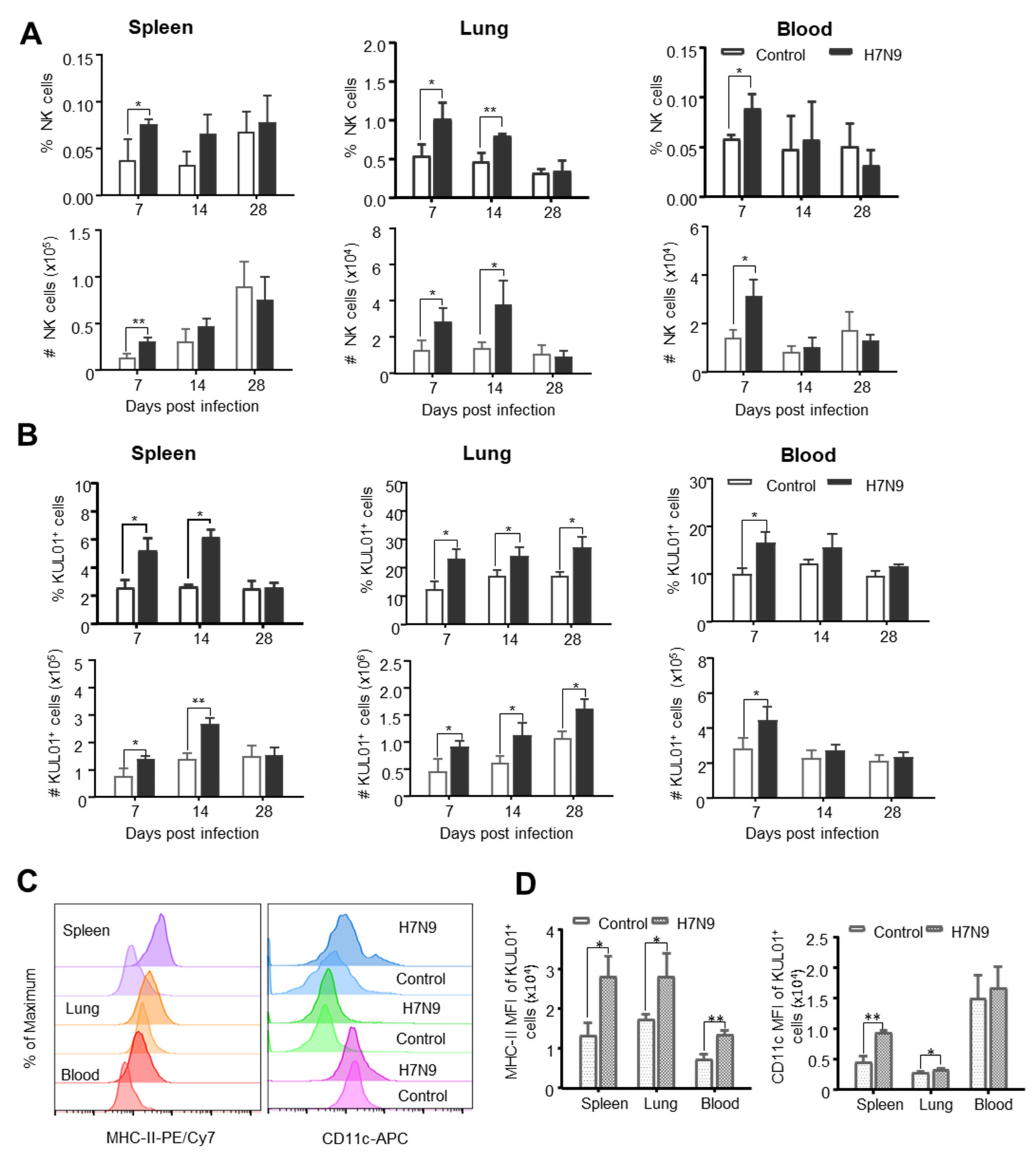 Viruses 12 01396 g004