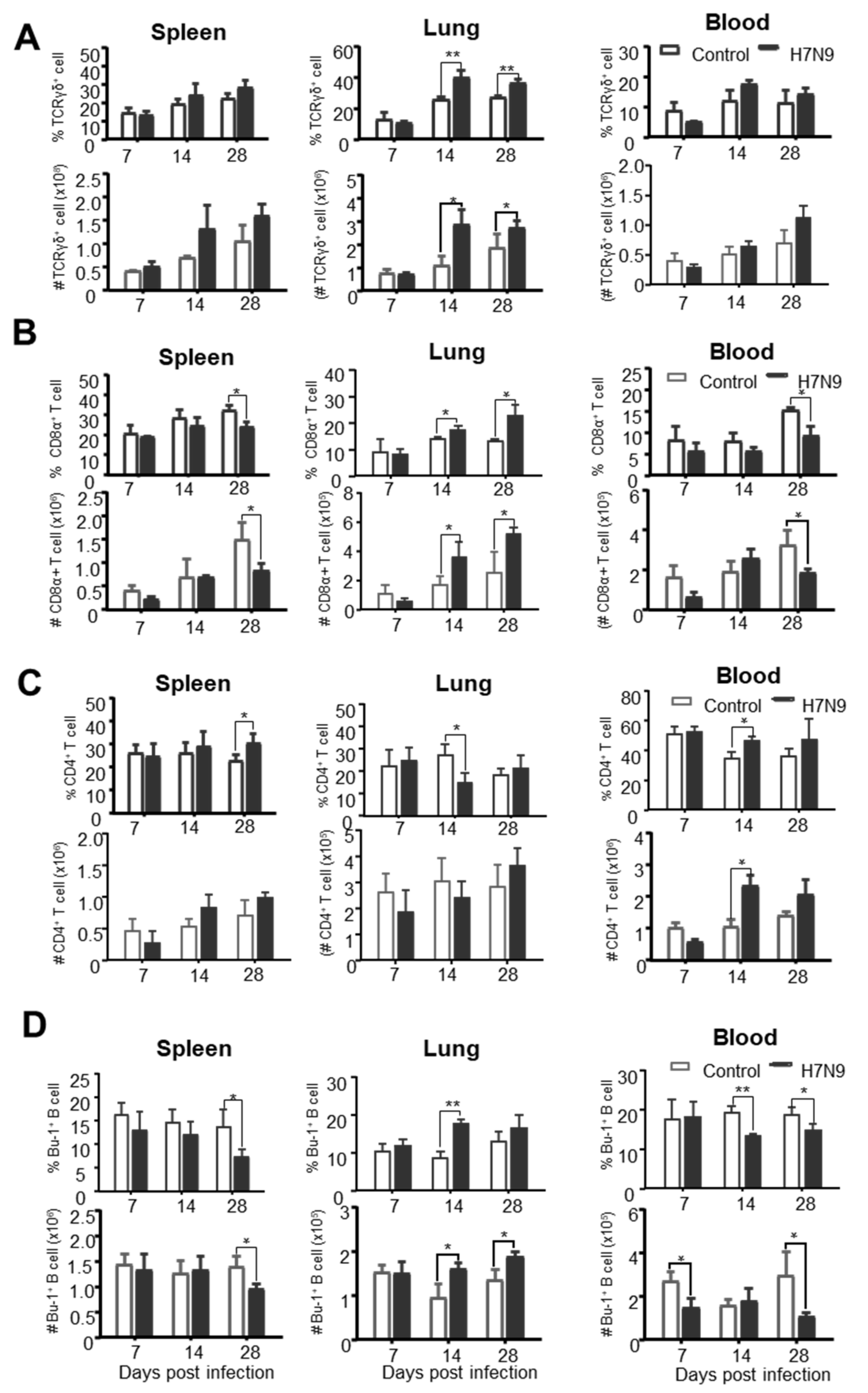 Viruses 12 01396 g005