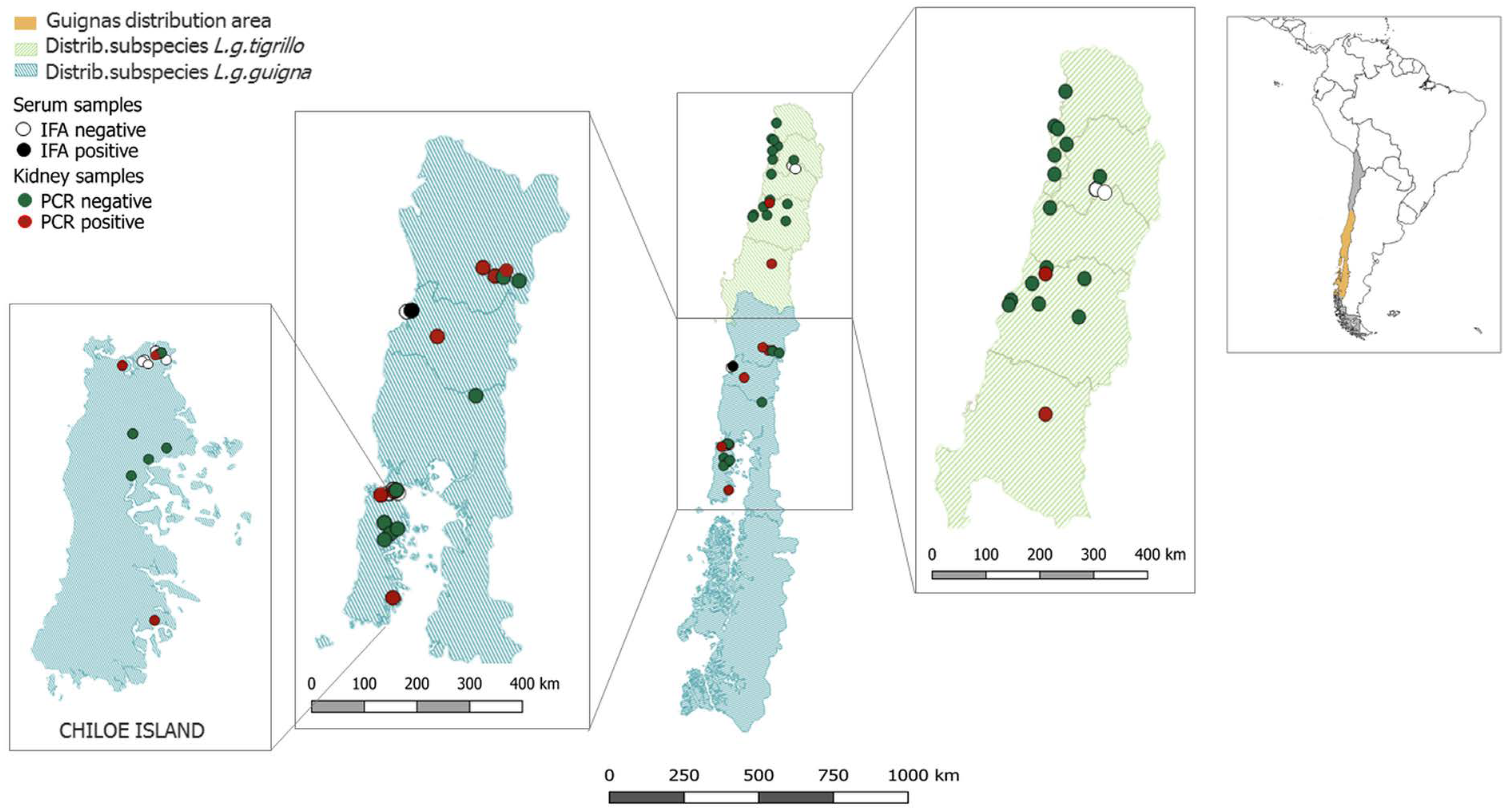 Viruses 12 01397 g001