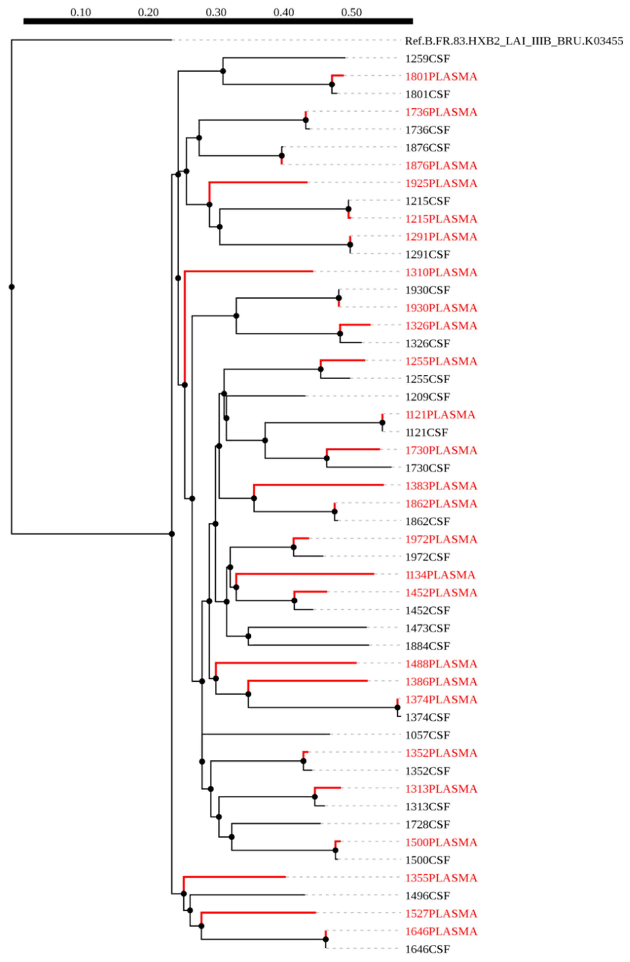 Viruses 12 01404 g001