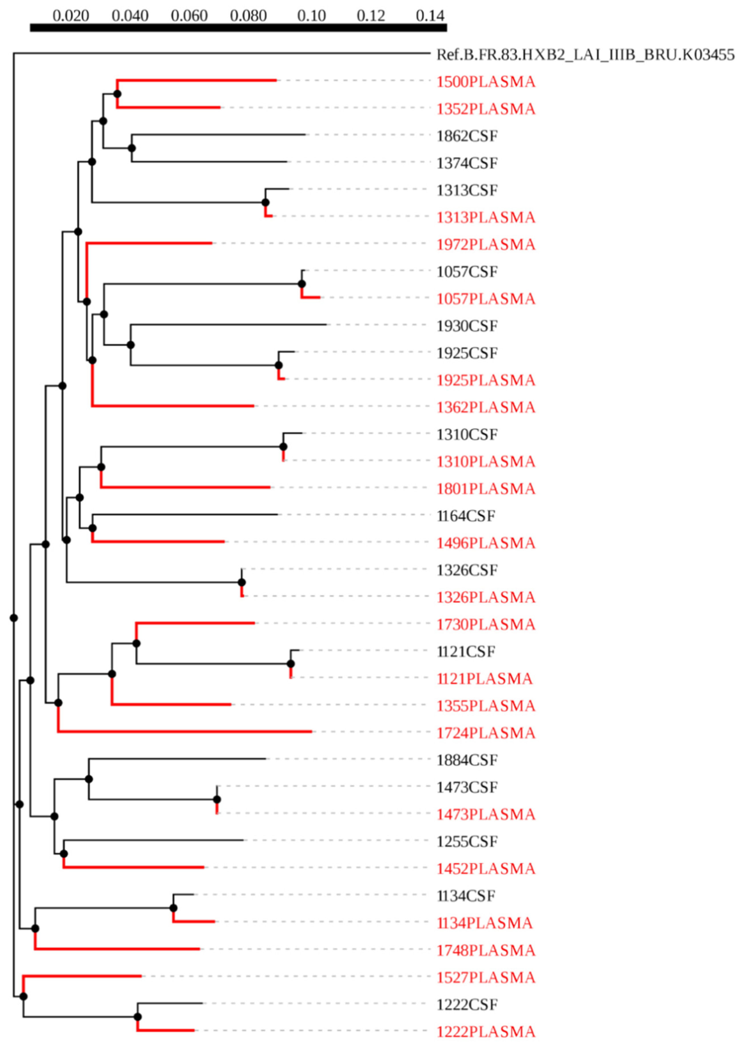 Viruses 12 01404 g002