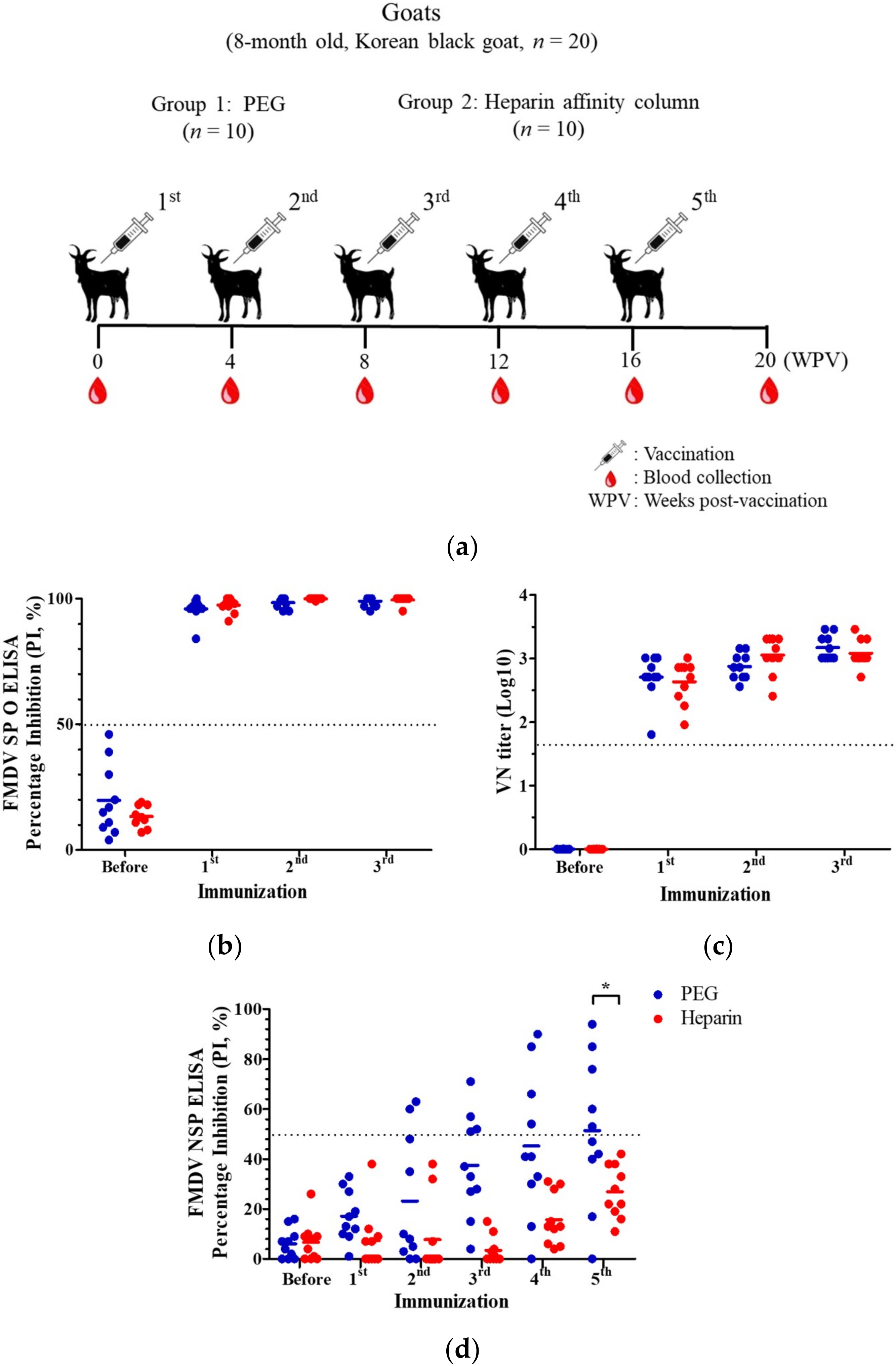 Viruses 12 01405 g004