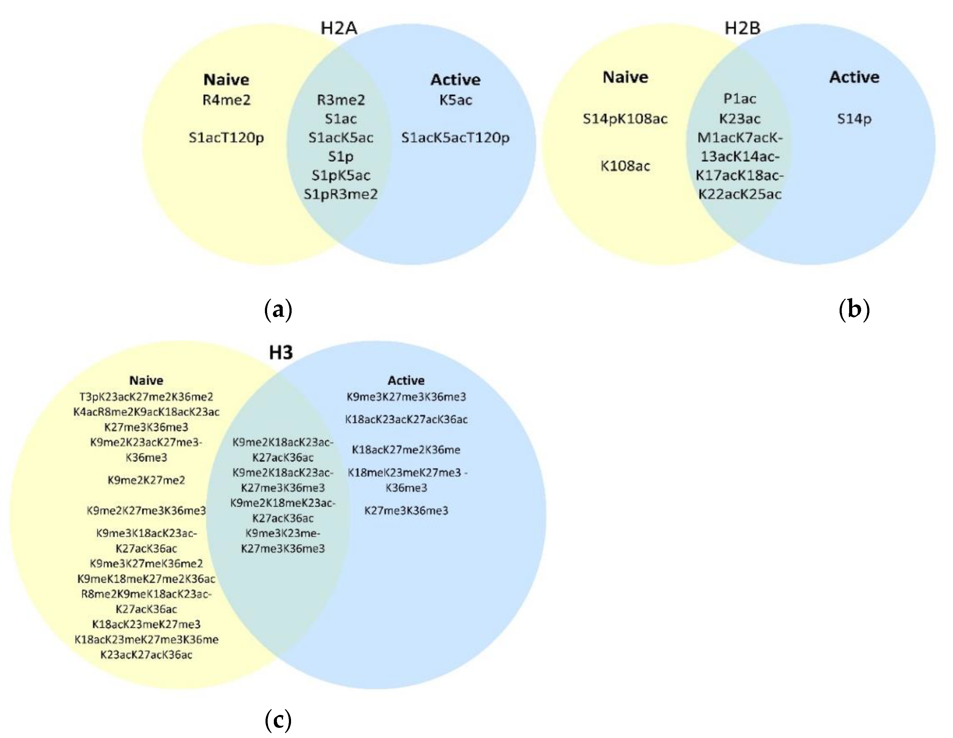 Viruses 12 01409 g002a