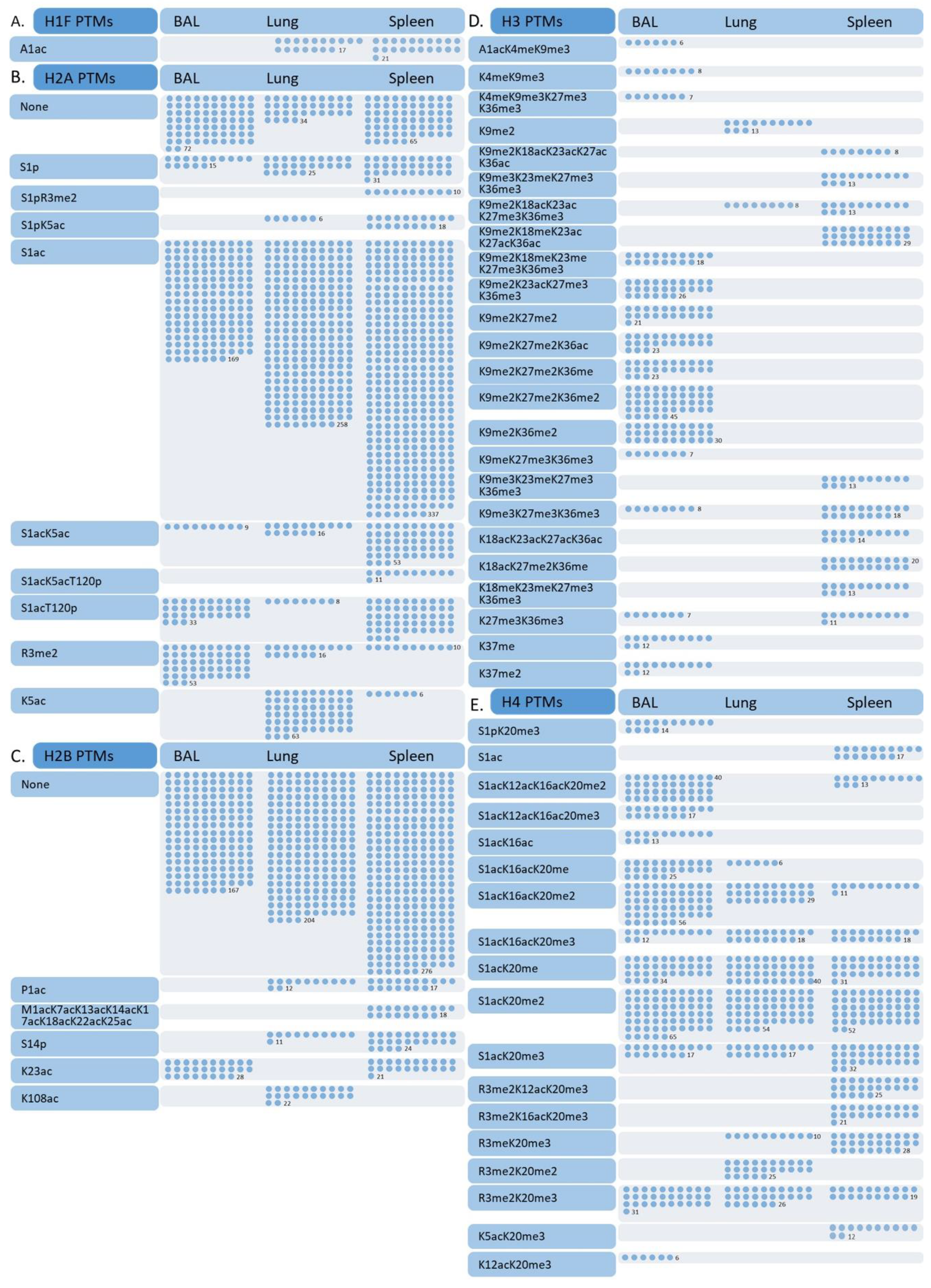 Viruses 12 01409 g003