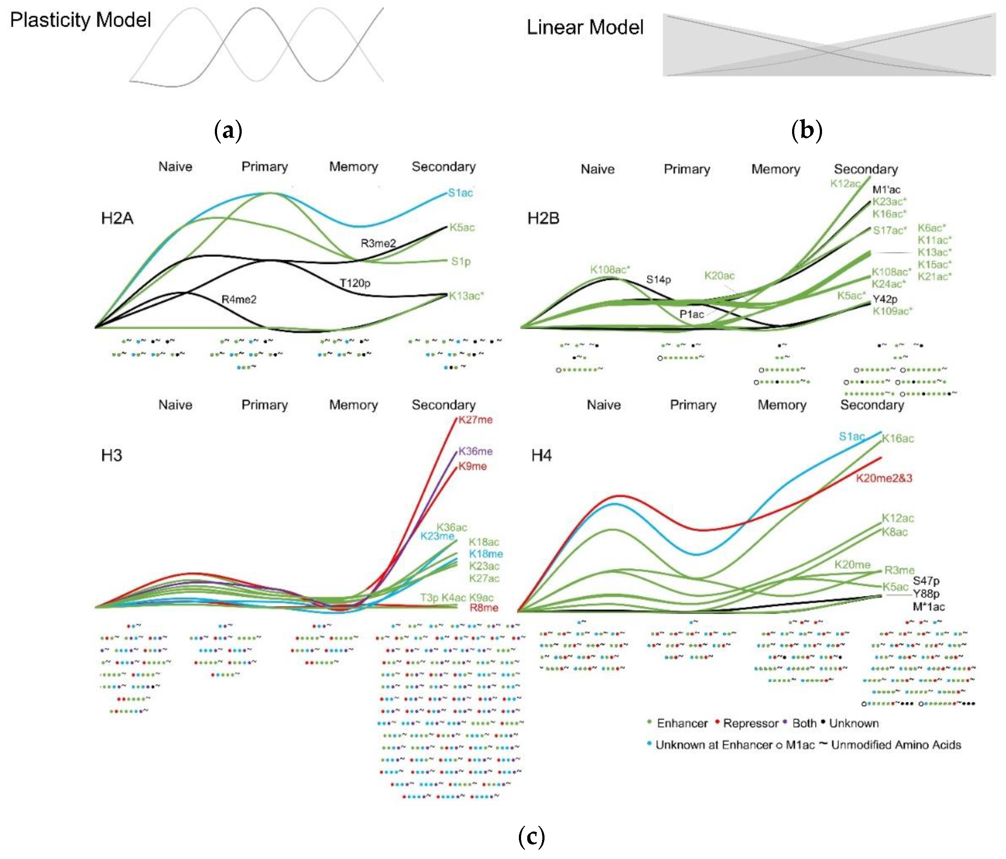 Viruses 12 01409 g005
