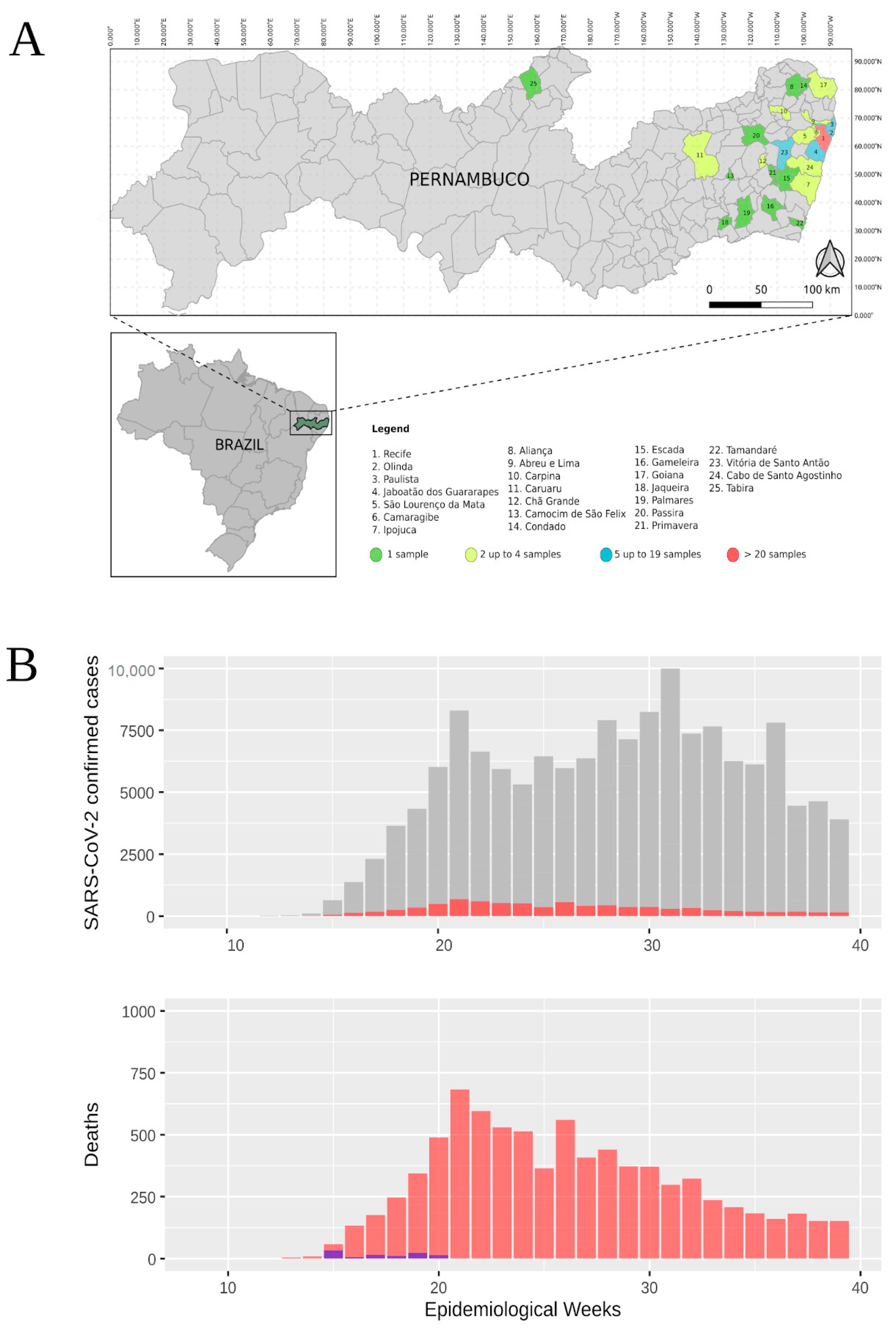 Viruses 12 01414 g001